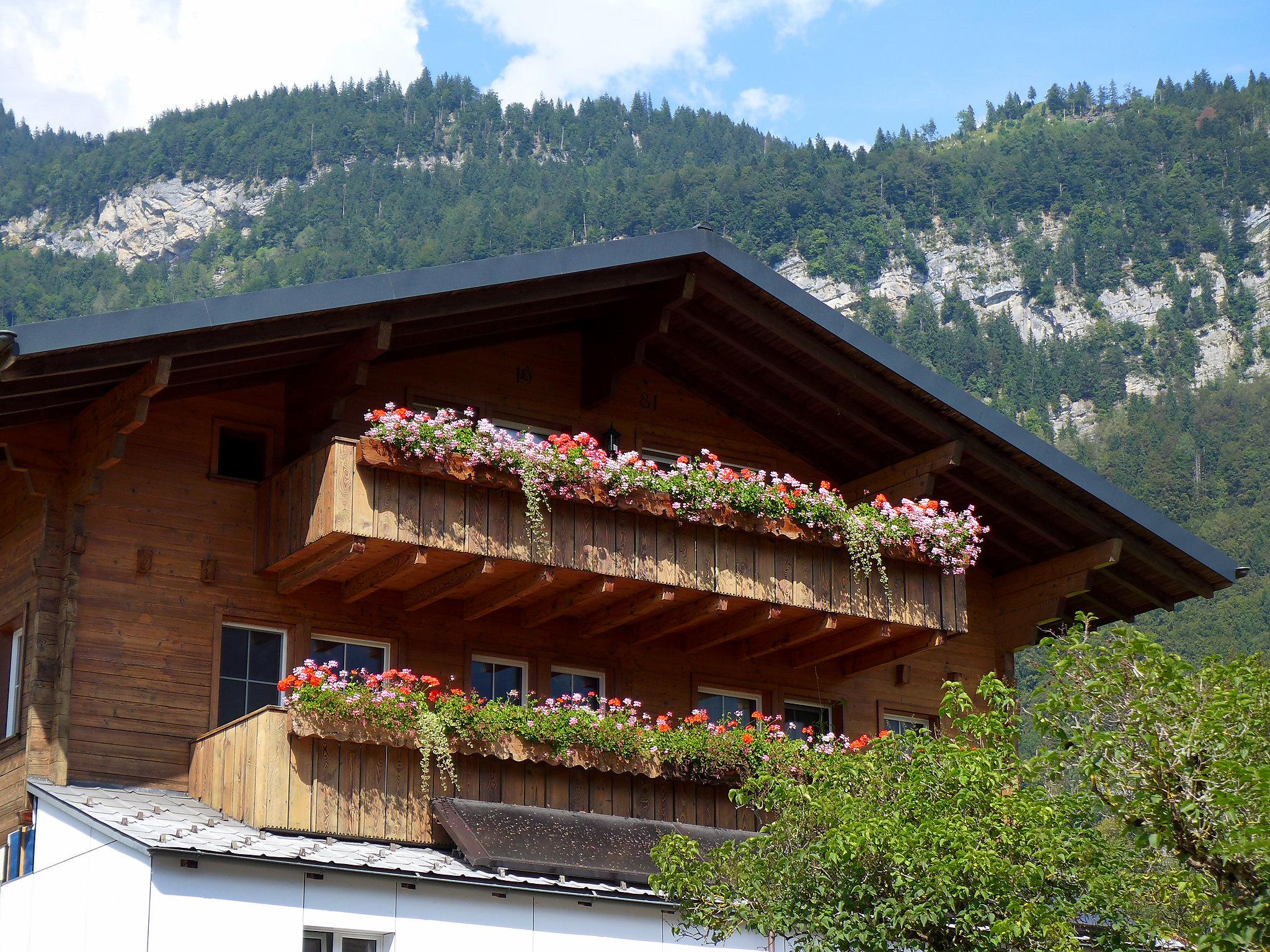 Foto 1 - Apartment mit 2 Schlafzimmern in Brienzwiler mit blick auf die berge