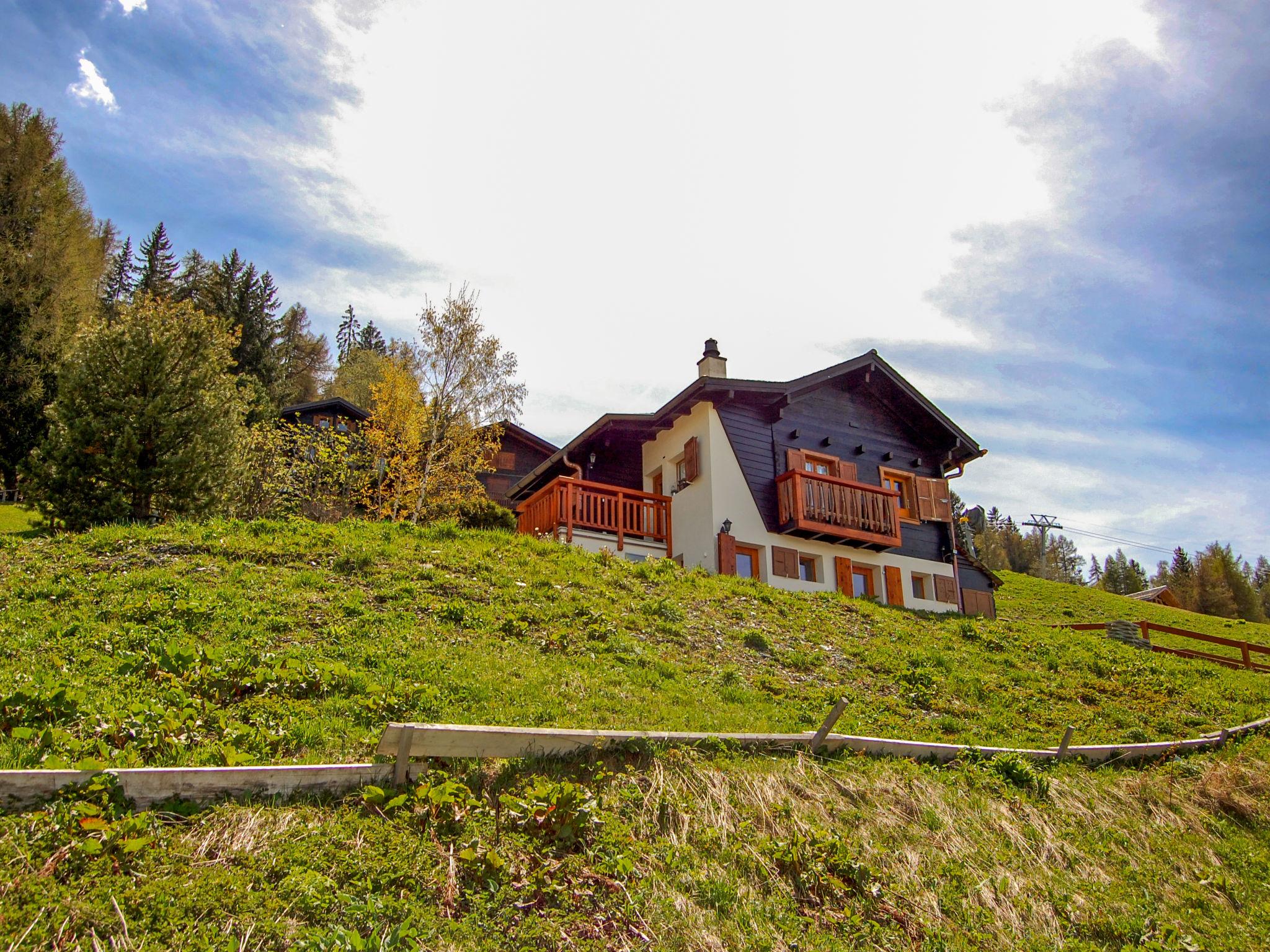 Photo 37 - 2 bedroom House in Nendaz with garden and mountain view