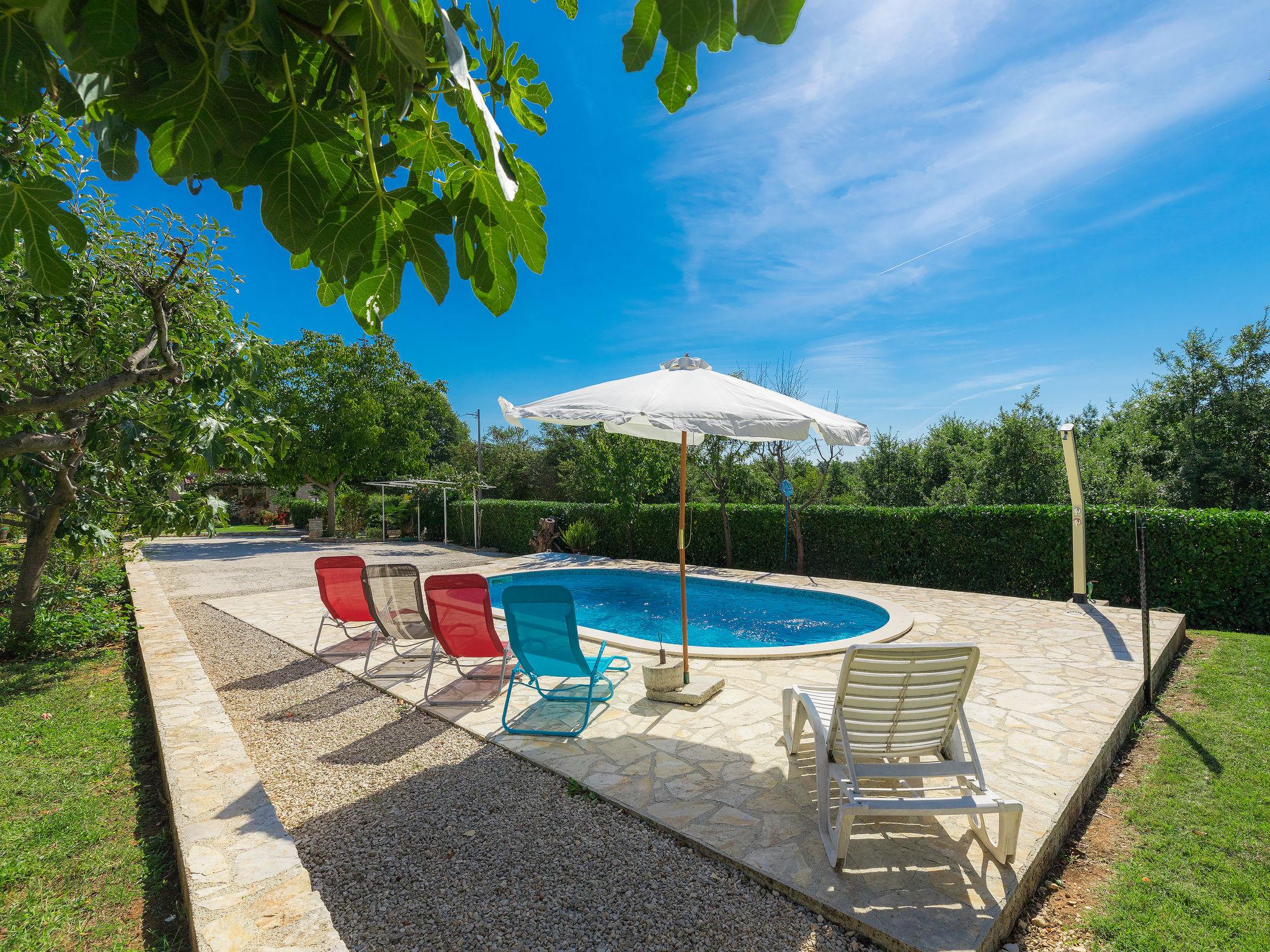 Photo 7 - Maison de 2 chambres à Žminj avec piscine privée et jardin