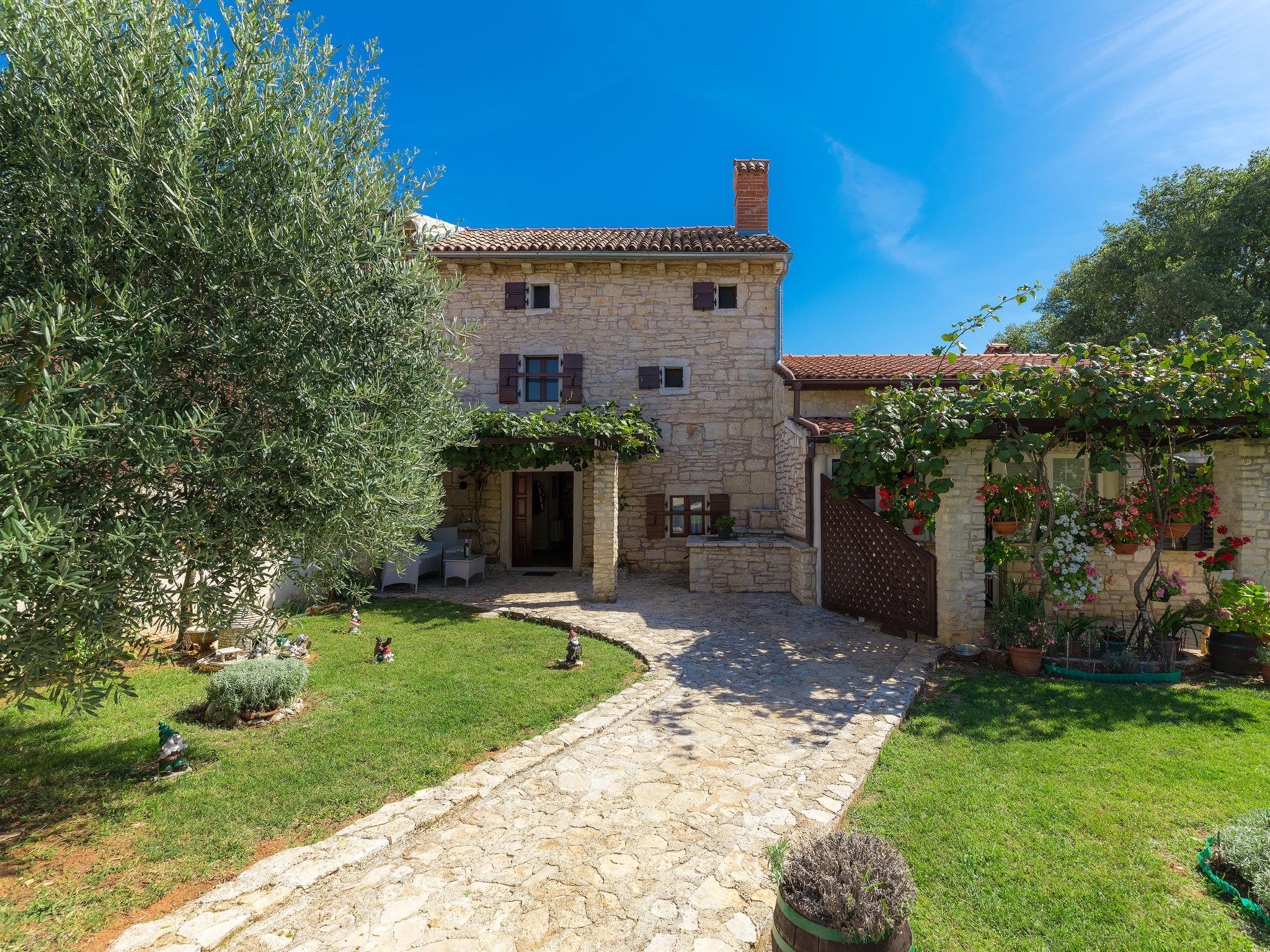 Photo 1 - Maison de 2 chambres à Žminj avec piscine privée et jardin