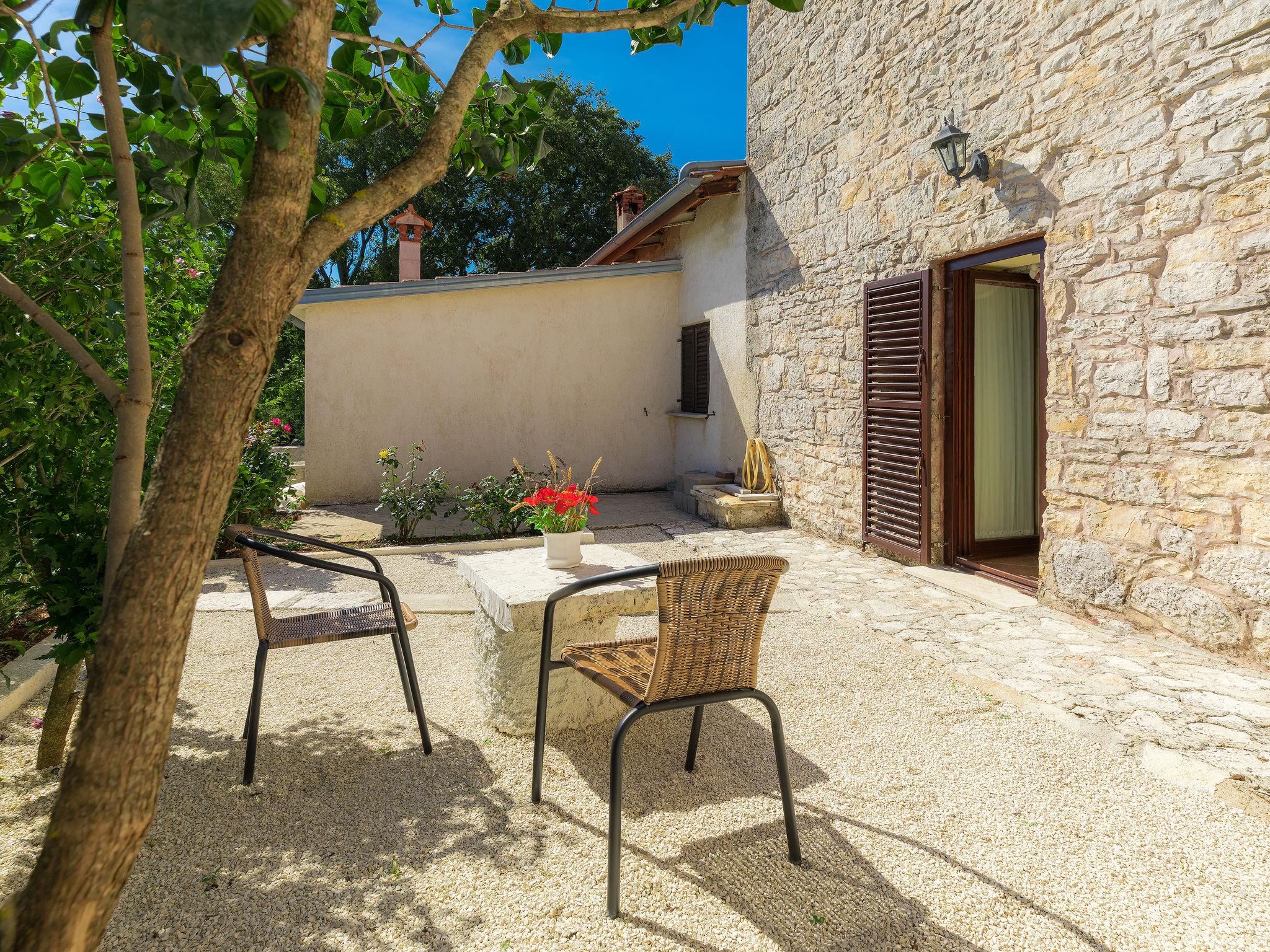 Foto 12 - Casa con 2 camere da letto a Žminj con piscina privata e giardino