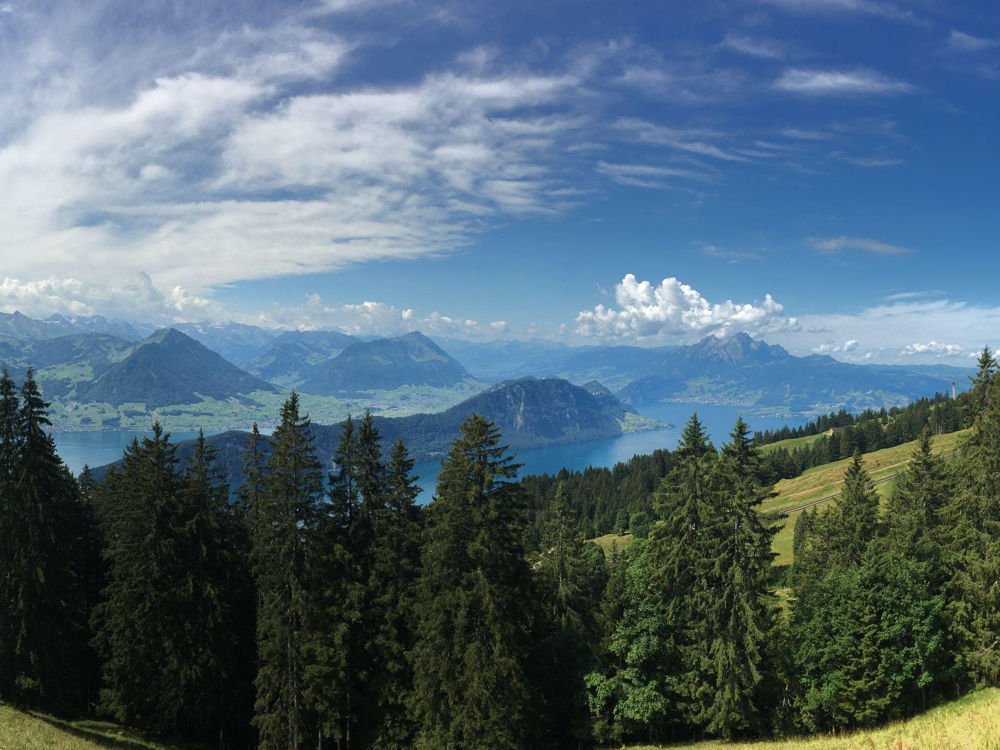 Foto 39 - Appartamento con 2 camere da letto a Weggis con vista sulle montagne