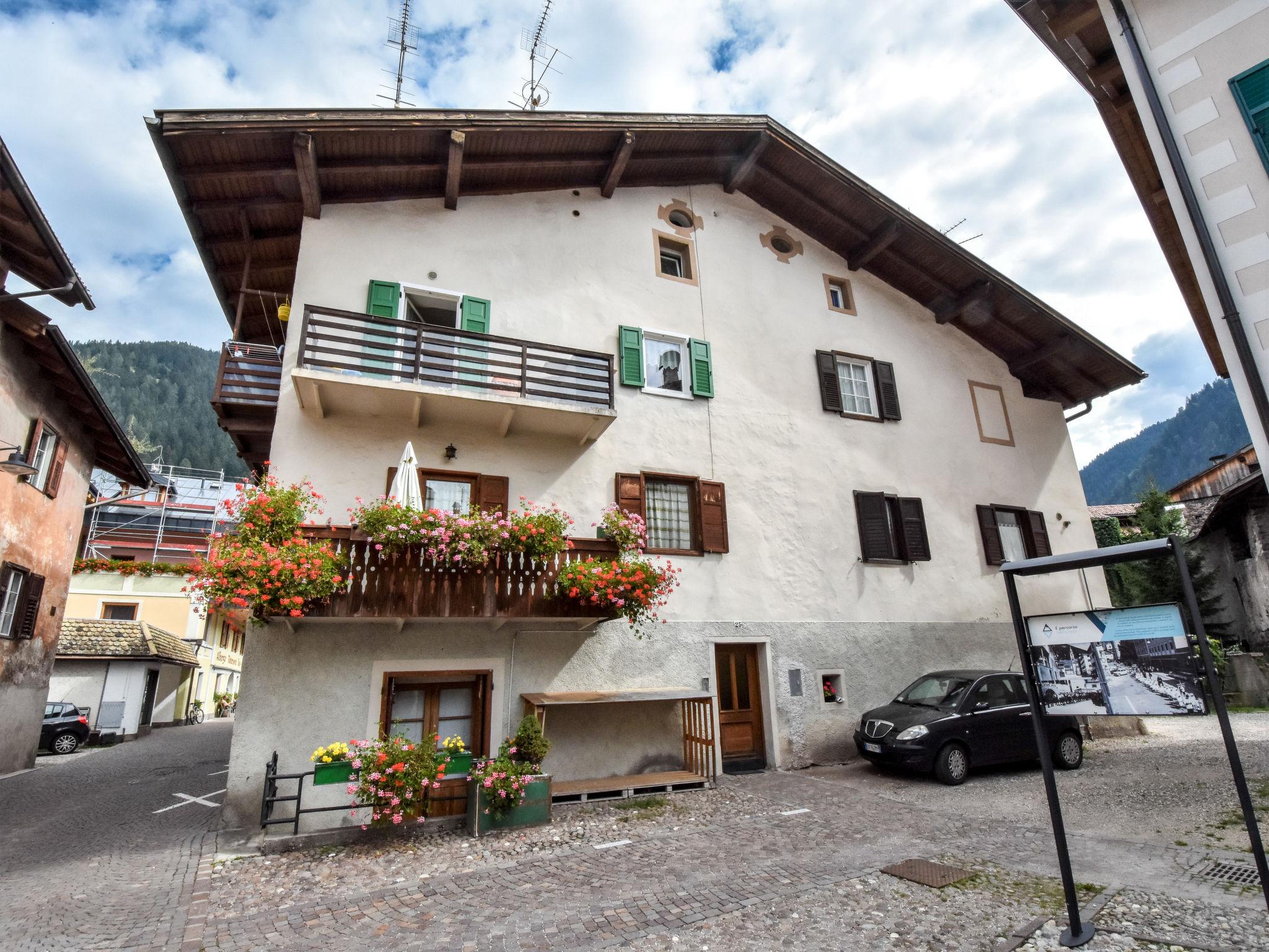 Photo 6 - Appartement de 2 chambres à Predazzo avec vues sur la montagne