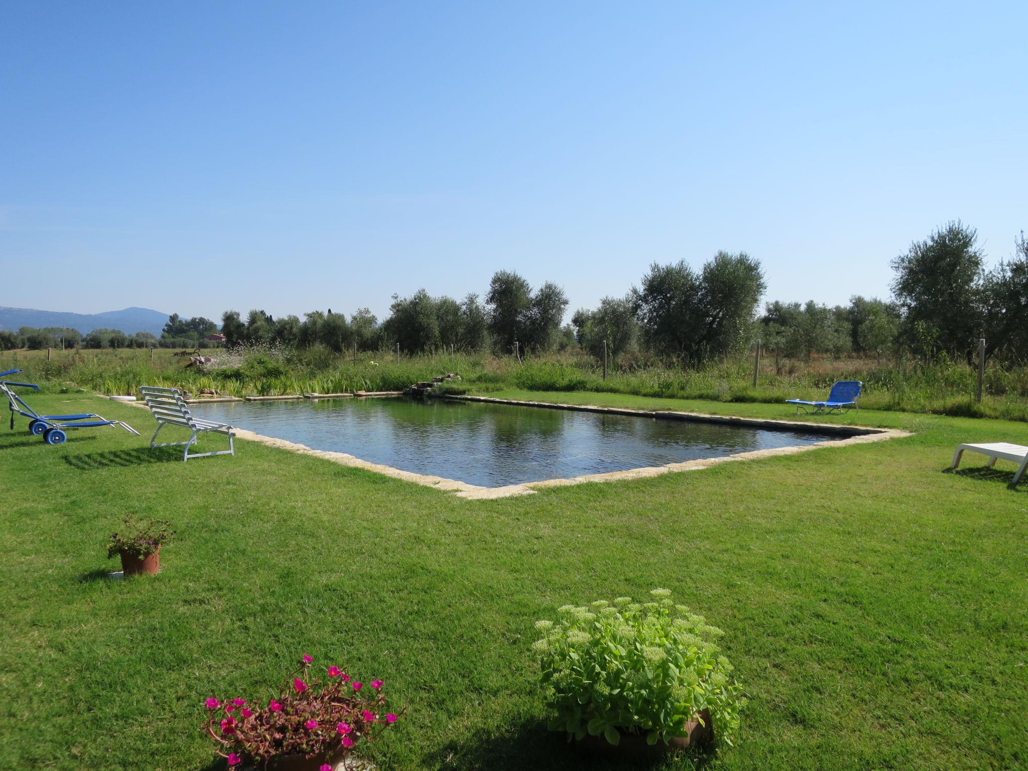 Photo 21 - Maison de 1 chambre à Roccastrada avec piscine et jardin