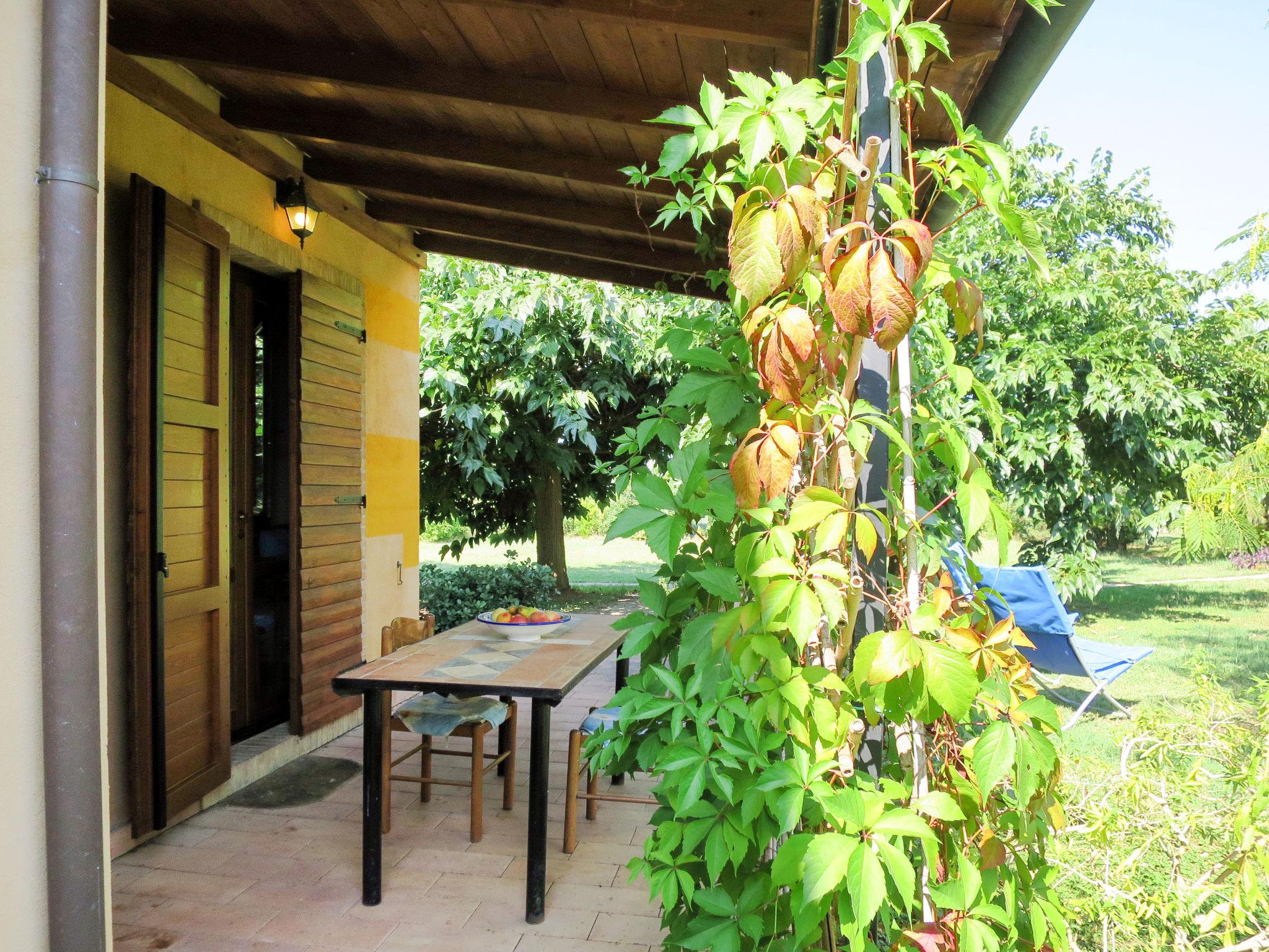 Photo 13 - Maison de 1 chambre à Roccastrada avec piscine et jardin