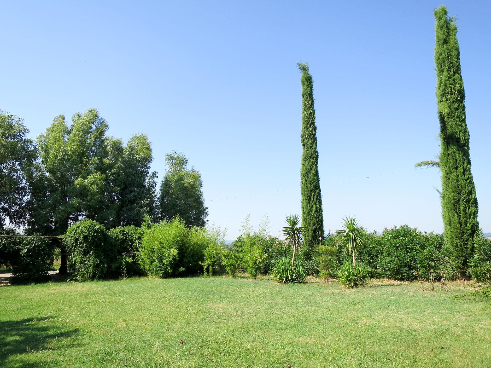 Photo 23 - Maison de 1 chambre à Roccastrada avec piscine et jardin