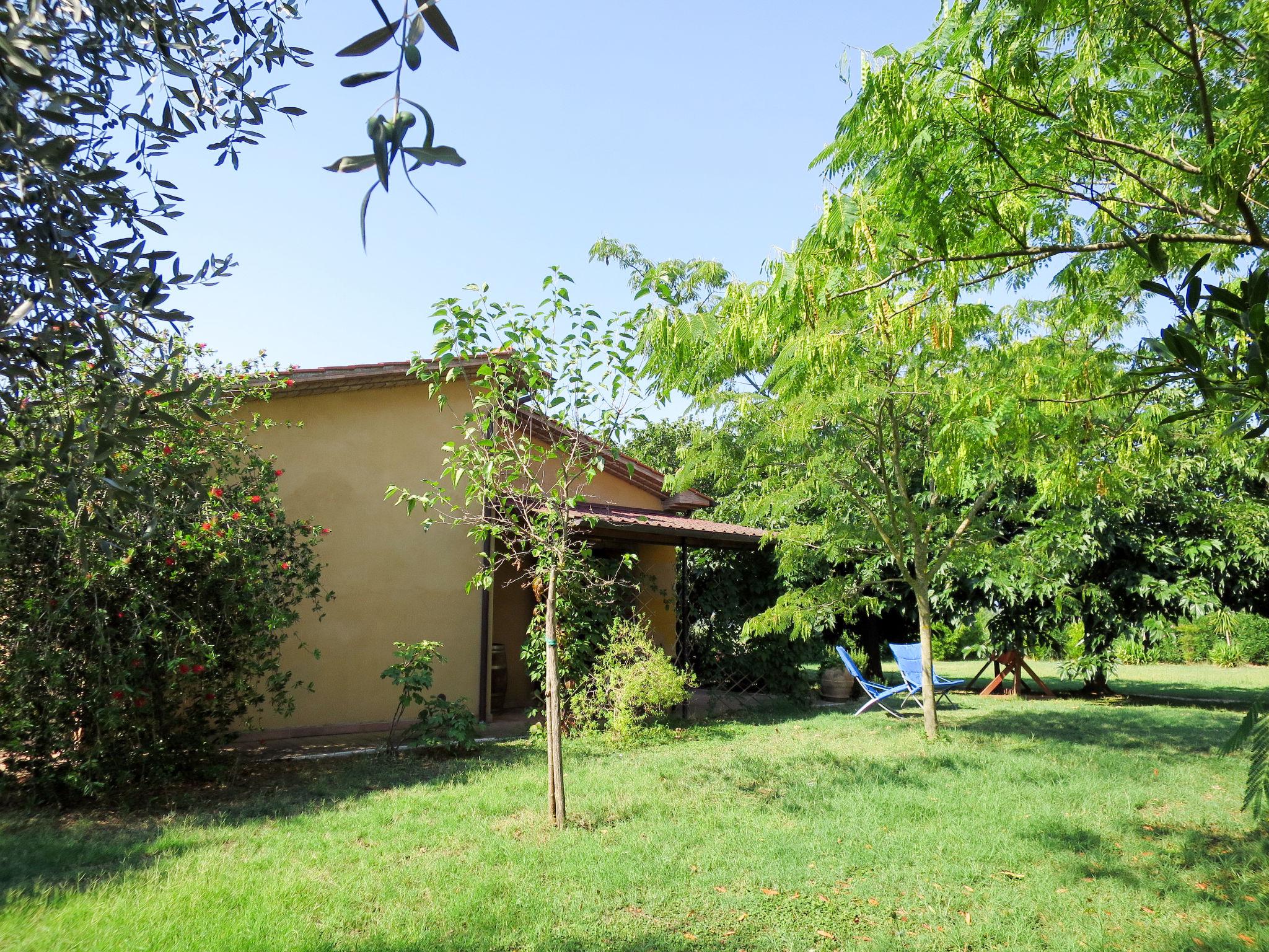 Photo 22 - Maison de 1 chambre à Roccastrada avec piscine et jardin