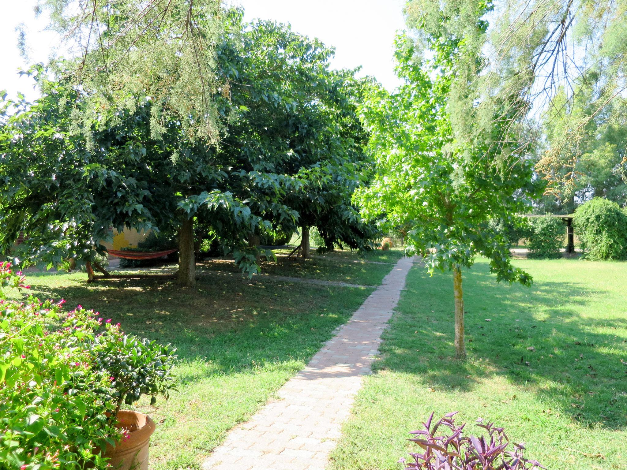 Photo 22 - Maison de 1 chambre à Roccastrada avec piscine et jardin