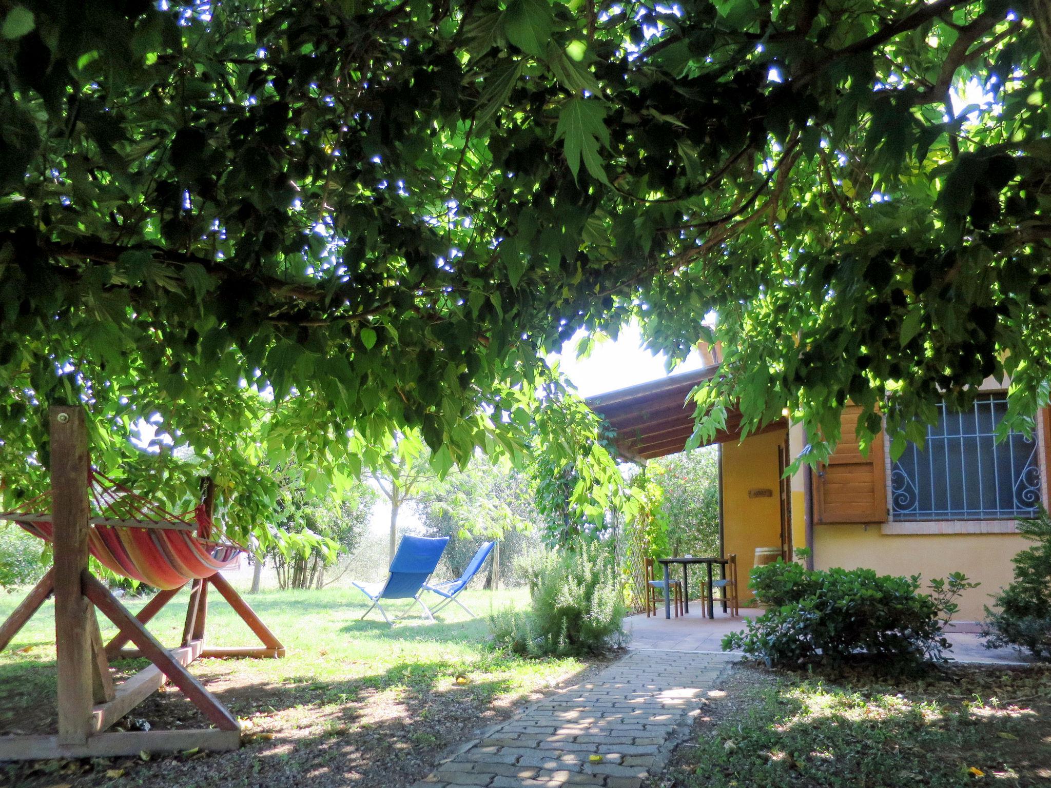 Foto 17 - Casa de 1 habitación en Roccastrada con piscina y jardín