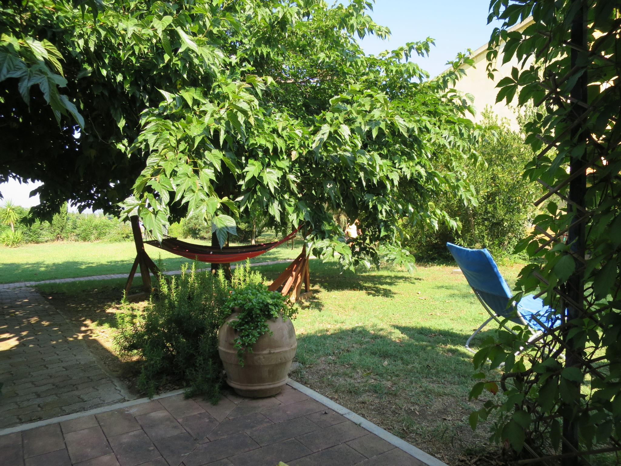 Photo 20 - Maison de 1 chambre à Roccastrada avec piscine et jardin