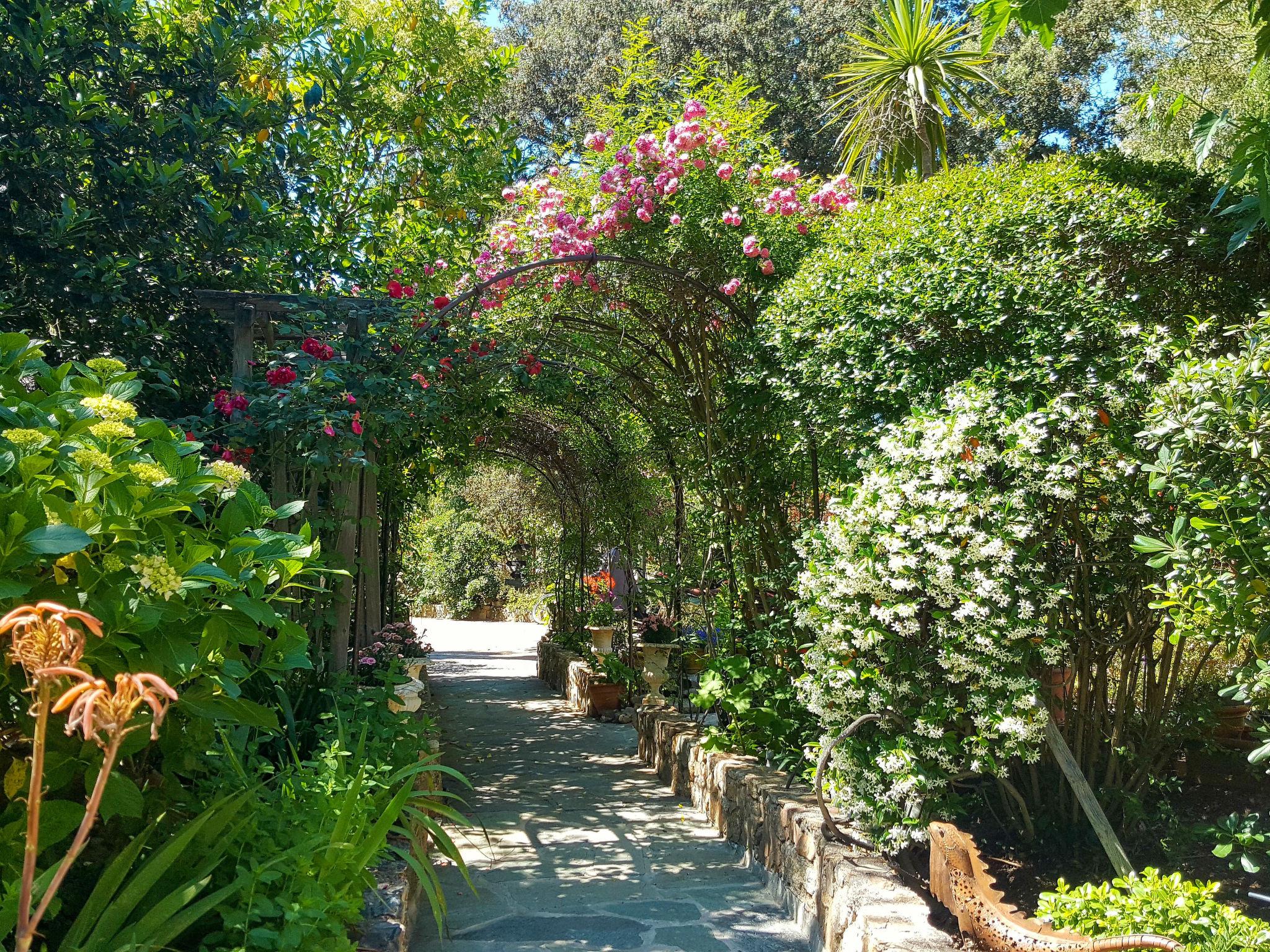 Photo 15 - Apartment in Calvi with swimming pool and garden