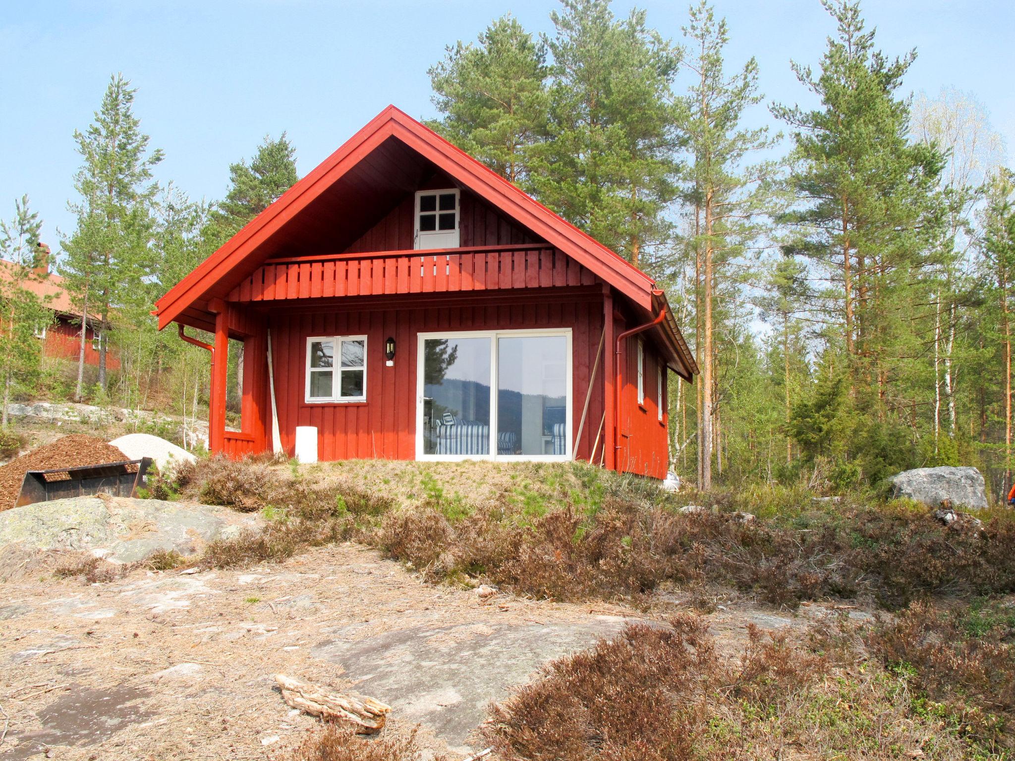 Foto 14 - Haus mit 1 Schlafzimmer in Mykland mit terrasse