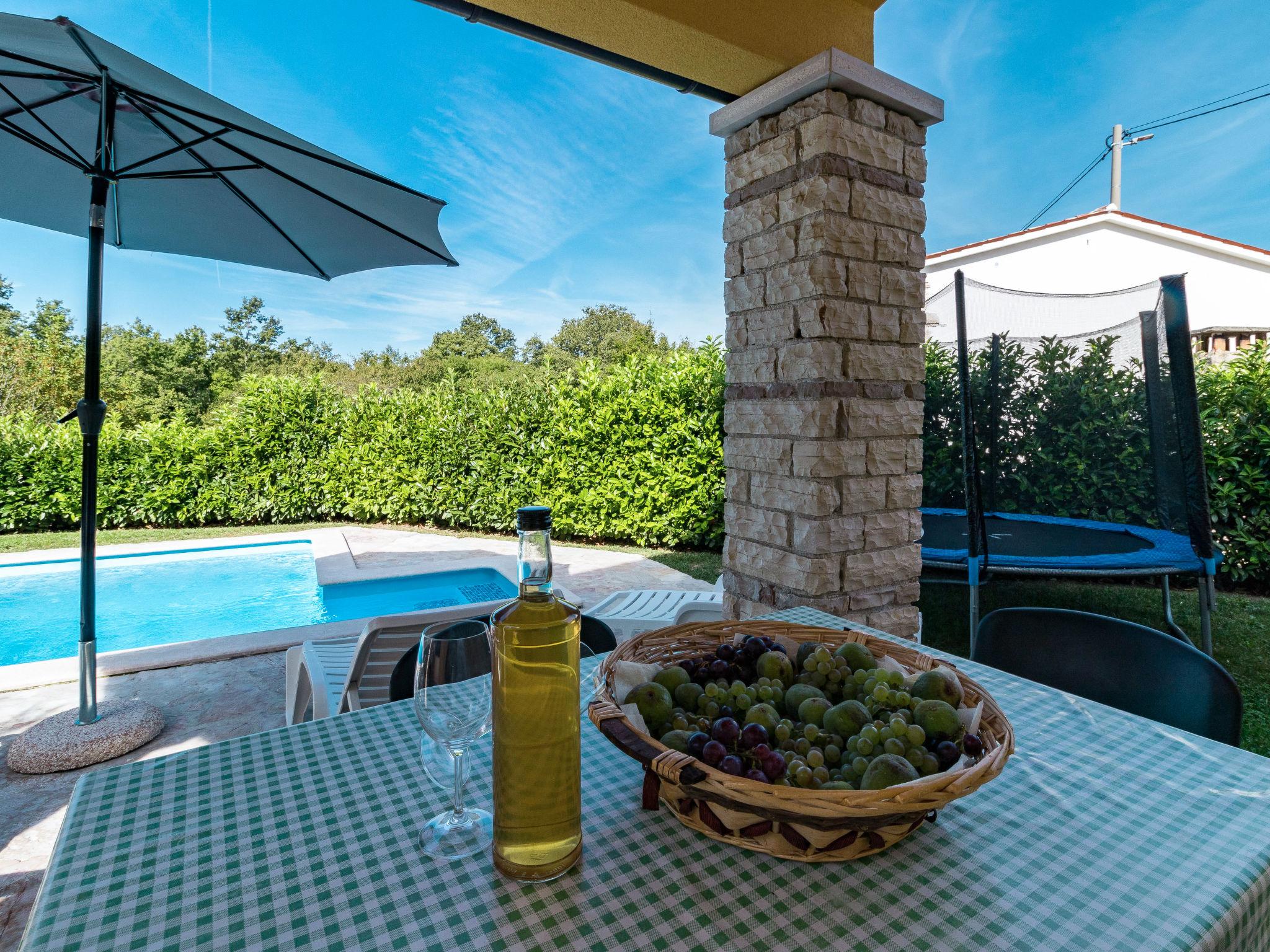 Photo 20 - Maison de 2 chambres à Pićan avec piscine privée et terrasse