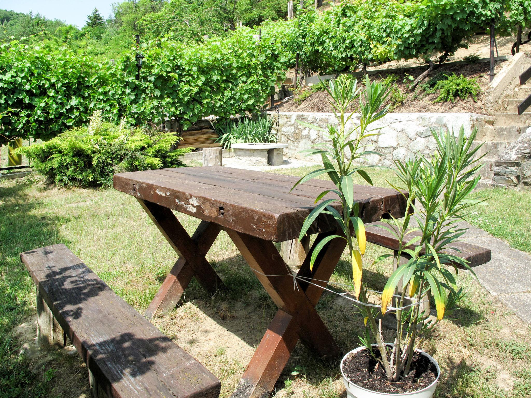 Photo 5 - Maison de 2 chambres à Ábrahámhegy avec jardin et terrasse