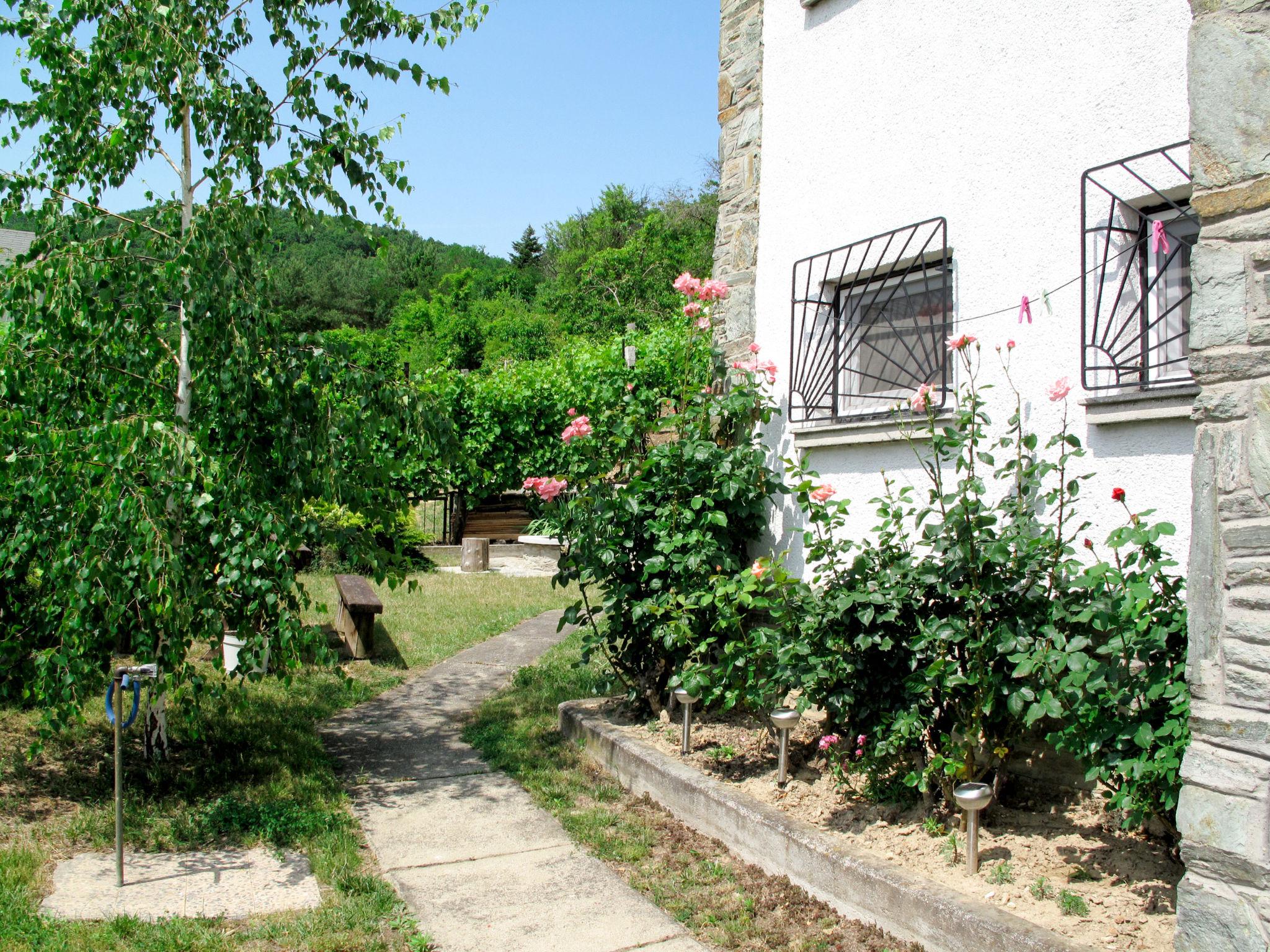 Foto 13 - Casa de 2 quartos em Ábrahámhegy com jardim e terraço