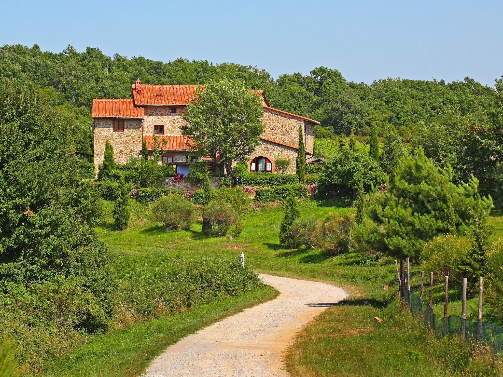 Foto 6 - Apartamento de 2 quartos em Gaiole in Chianti com piscina e jardim