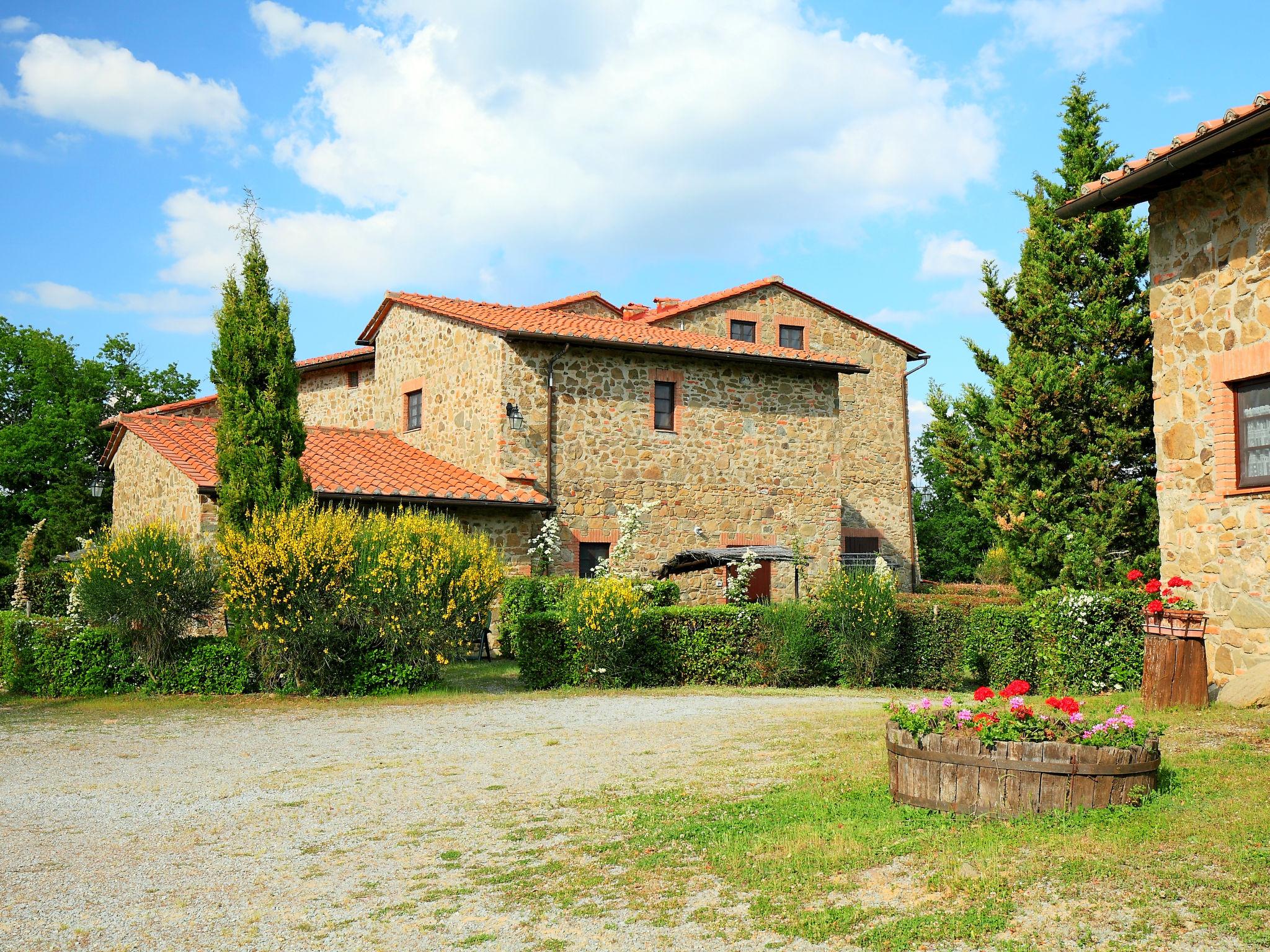 Foto 26 - Appartamento con 7 camere da letto a Gaiole in Chianti con piscina e giardino