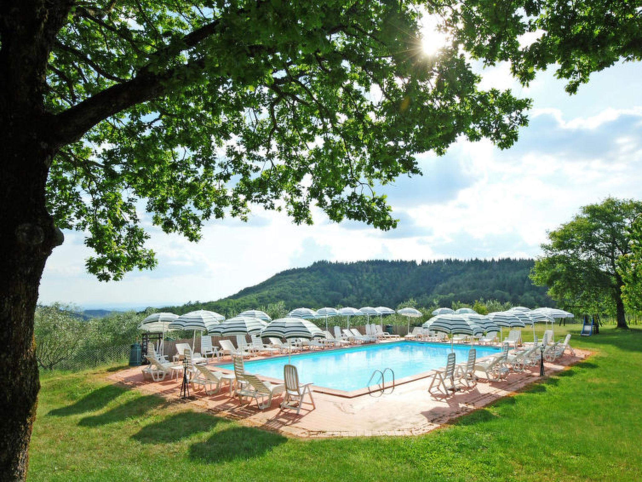 Foto 2 - Apartamento de 2 quartos em Gaiole in Chianti com piscina e jardim