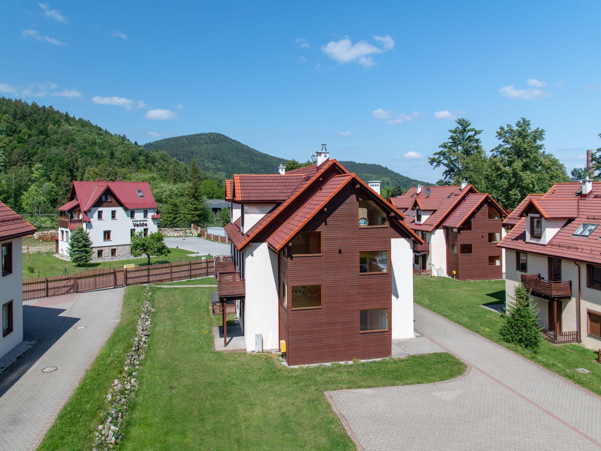 Photo 6 - Appartement de 2 chambres à Karpacz avec vues sur la montagne