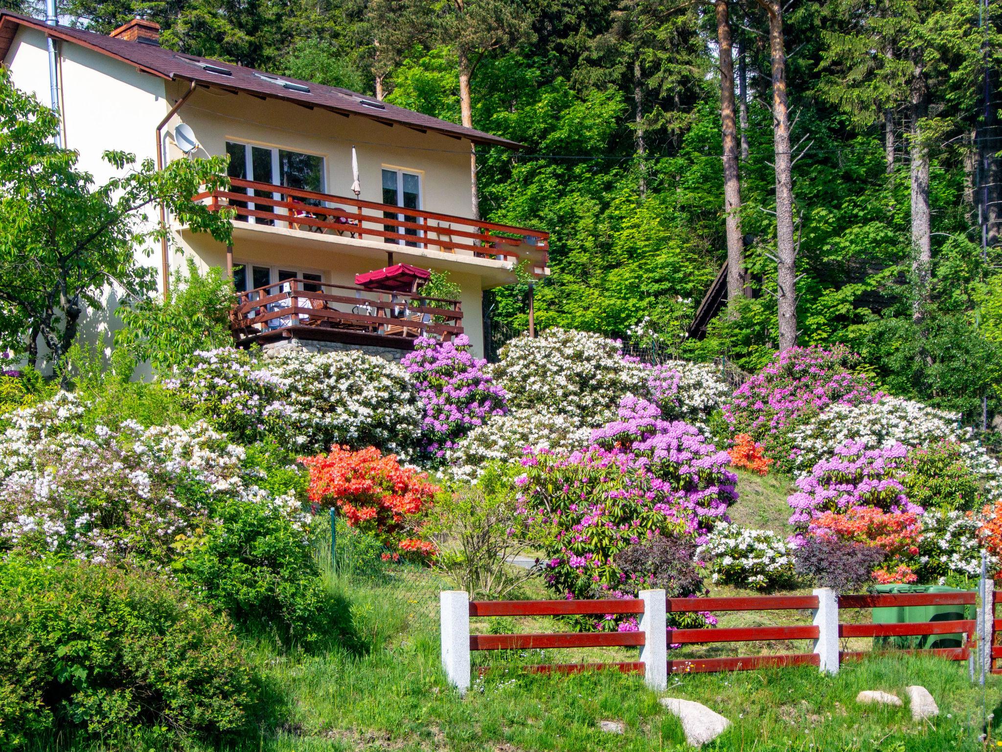 Photo 25 - Appartement de 2 chambres à Karpacz avec terrasse et vues sur la montagne