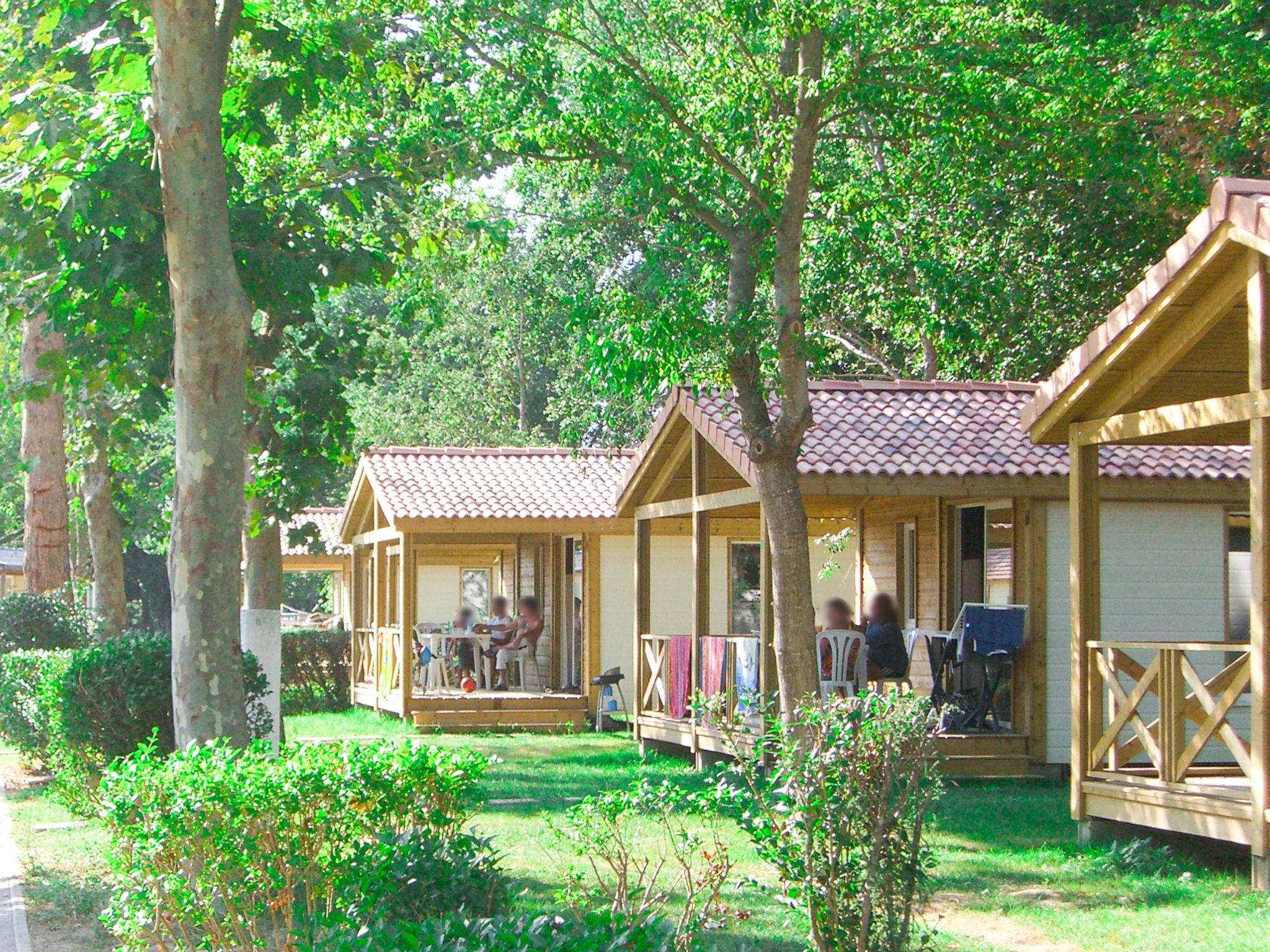 Photo 12 - Maison de 3 chambres à Argelès-sur-Mer avec piscine et terrasse