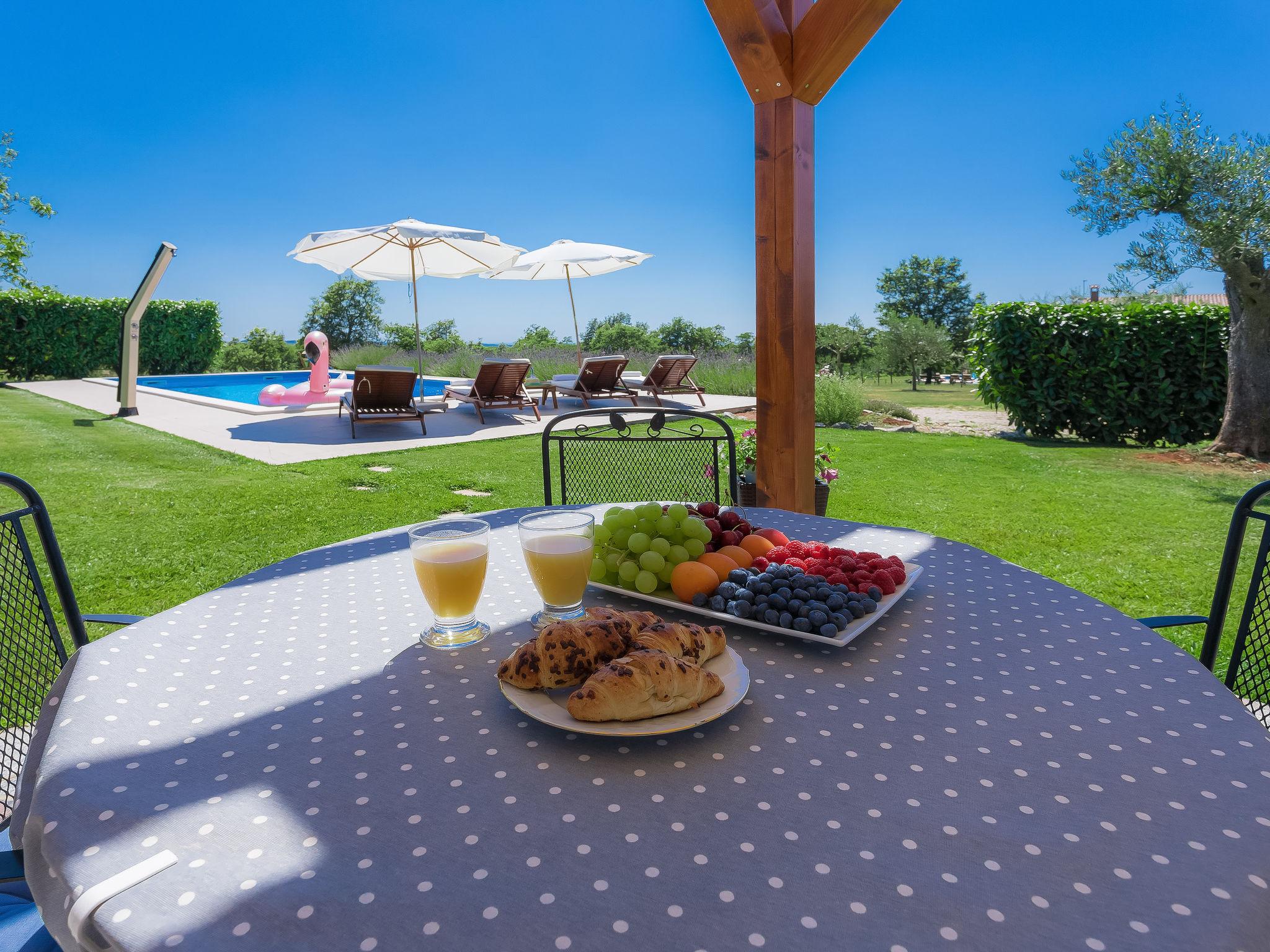 Foto 17 - Casa con 2 camere da letto a Sveti Lovreč con piscina privata e giardino