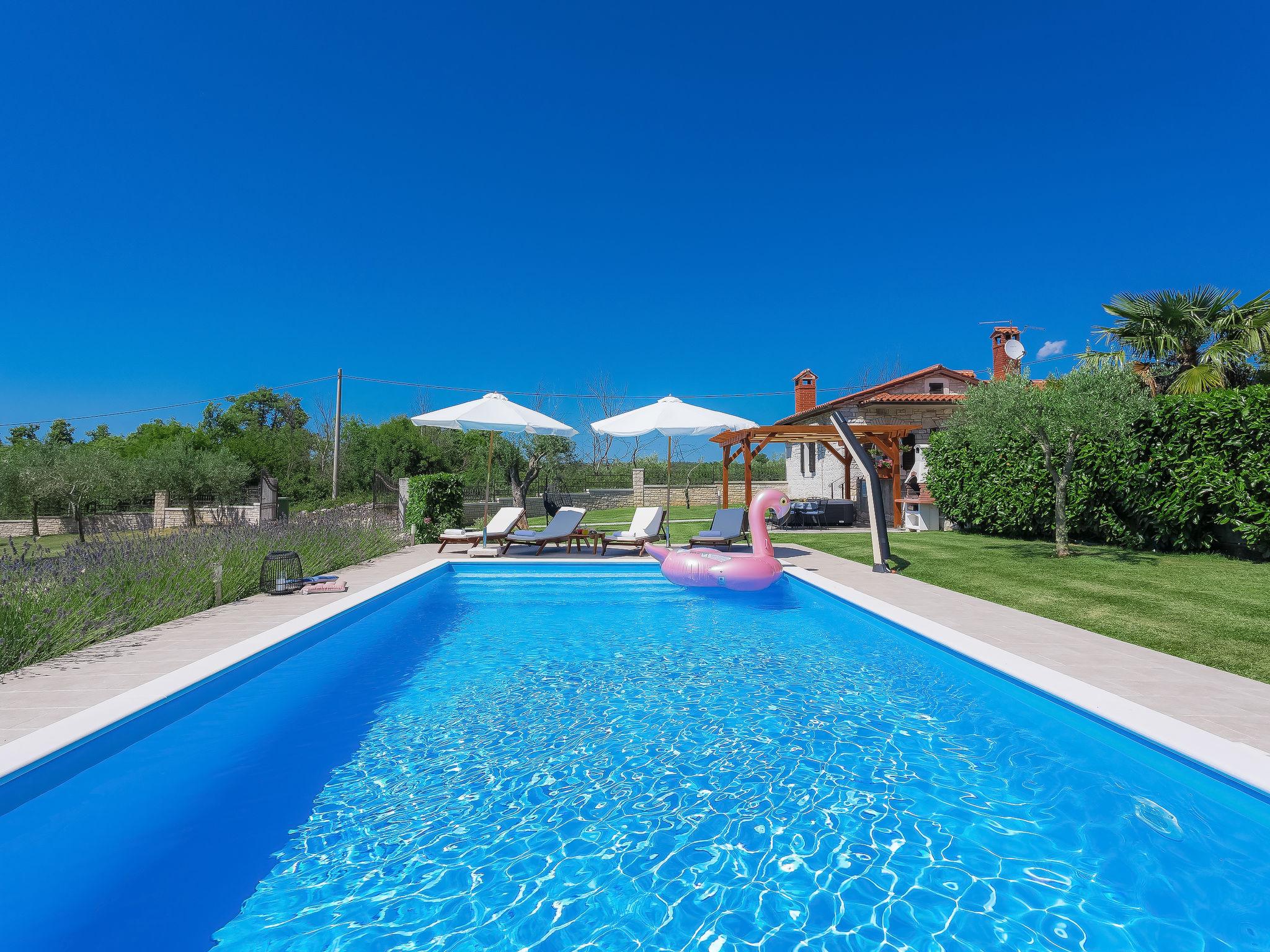 Foto 1 - Casa de 2 habitaciones en Sveti Lovreč con piscina privada y vistas al mar