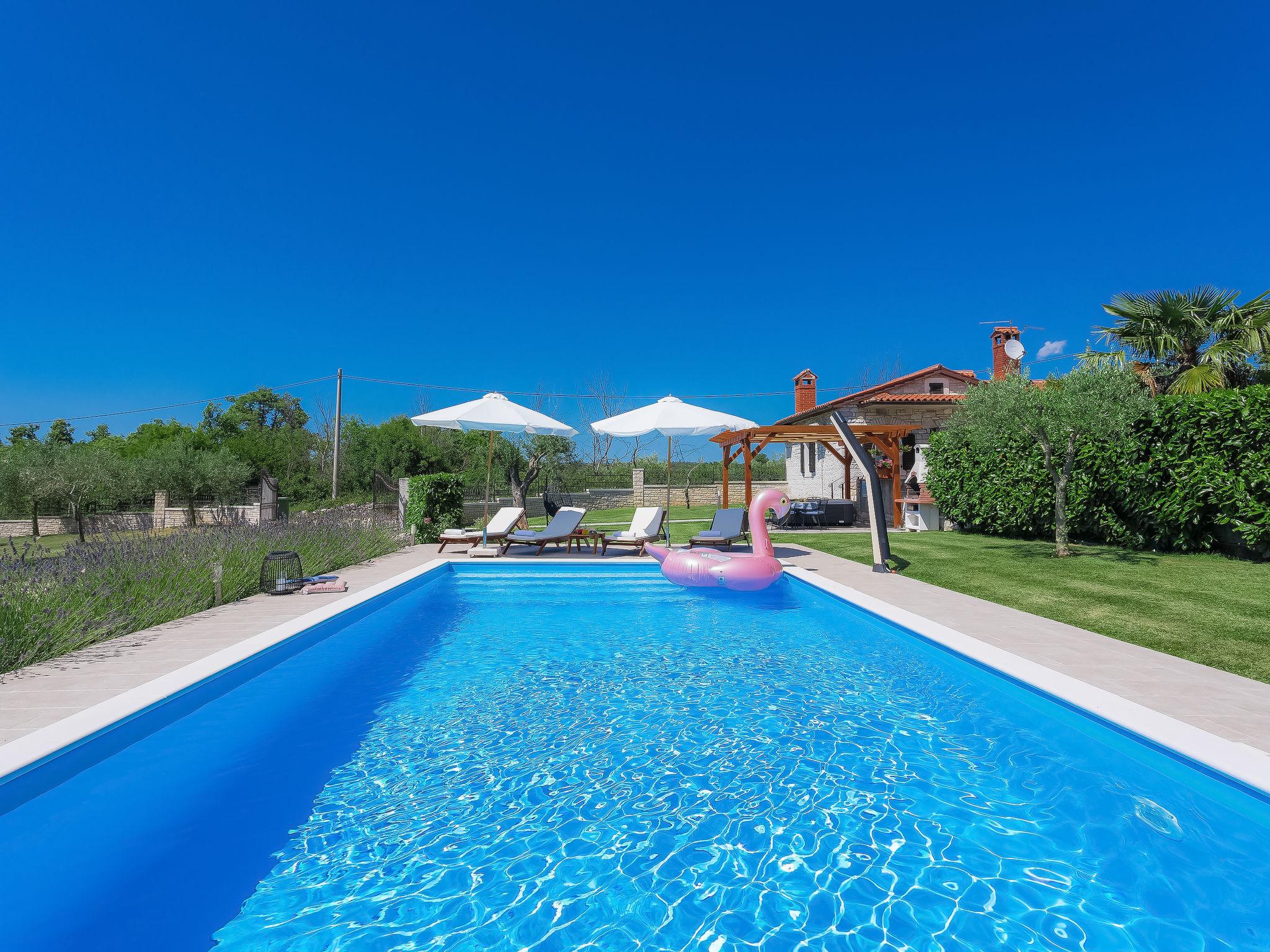 Foto 1 - Casa de 2 quartos em Sveti Lovreč com piscina privada e vistas do mar