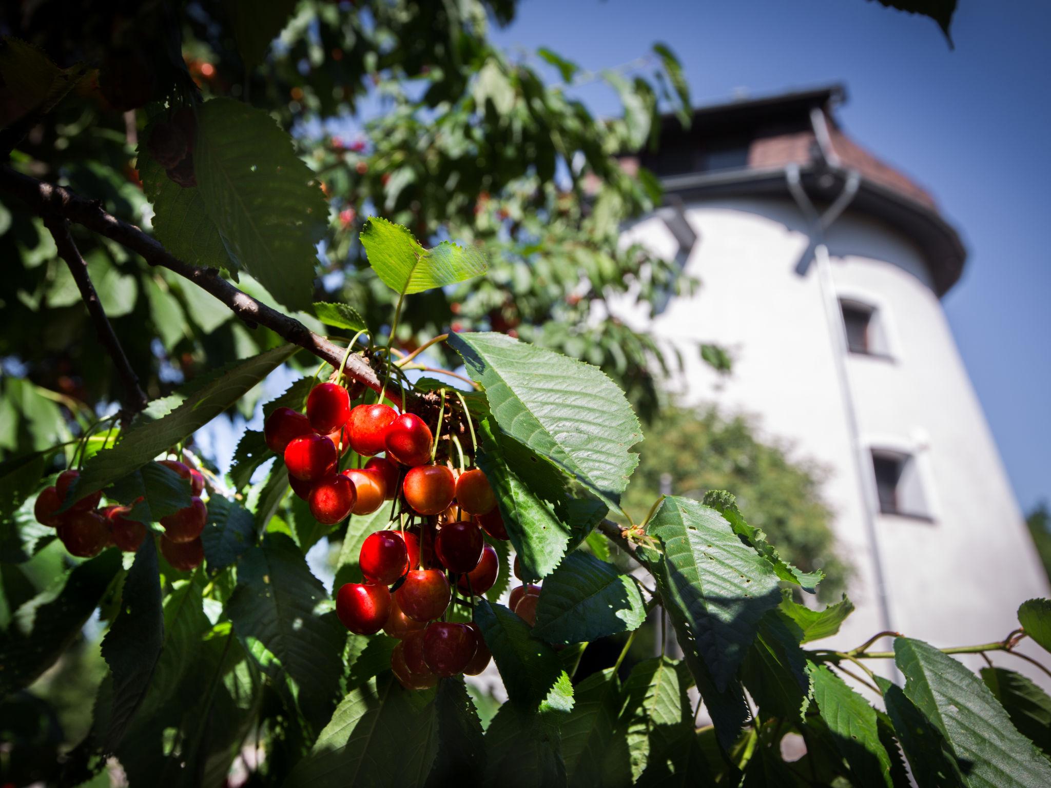 Photo 39 - Maison de 5 chambres à Ryn avec jardin