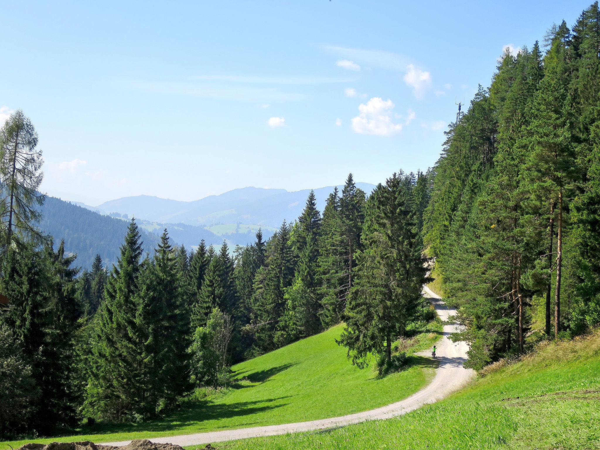 Photo 22 - Appartement de 3 chambres à Radstadt avec jardin et vues sur la montagne