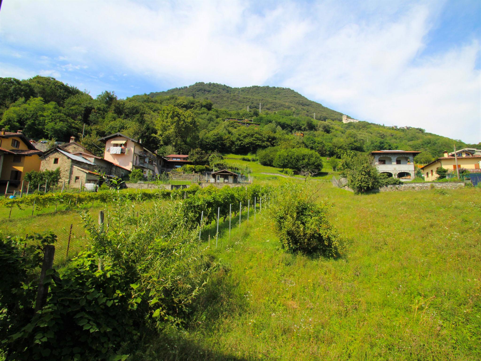 Foto 25 - Appartamento con 2 camere da letto a Vercana con giardino e terrazza