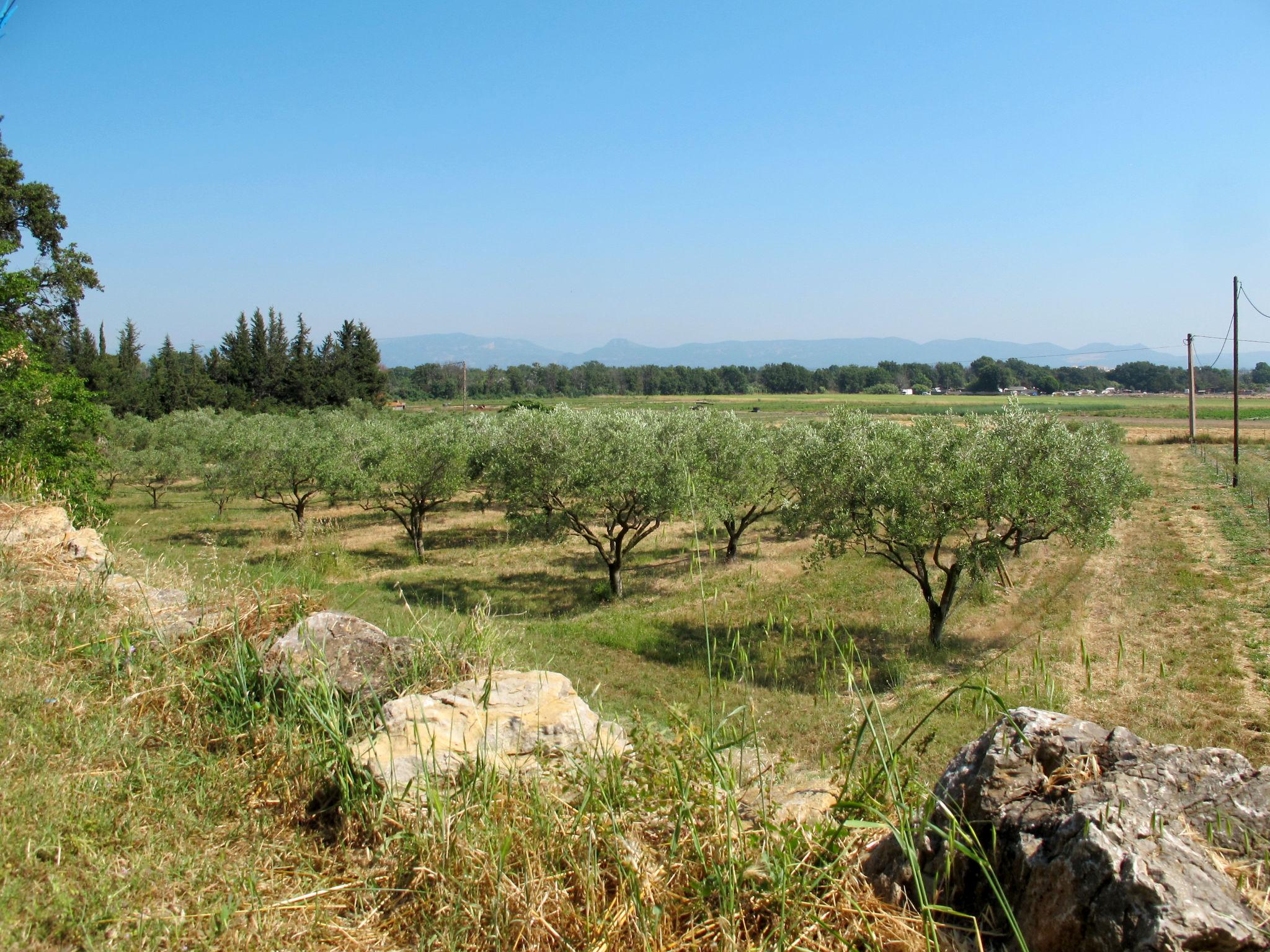 Foto 15 - Appartamento con 1 camera da letto a Roquebrune-sur-Argens con piscina e giardino