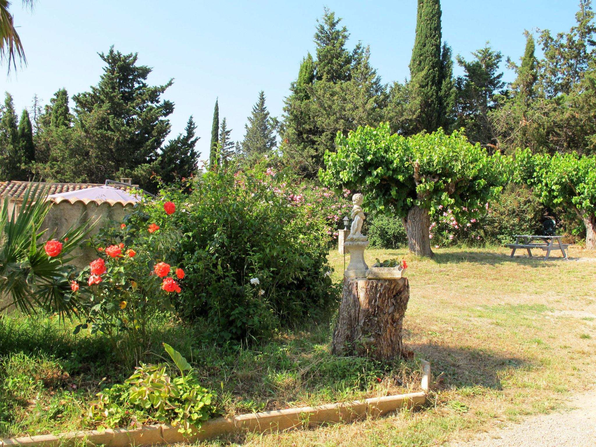 Foto 13 - Appartamento con 1 camera da letto a Roquebrune-sur-Argens con piscina e giardino