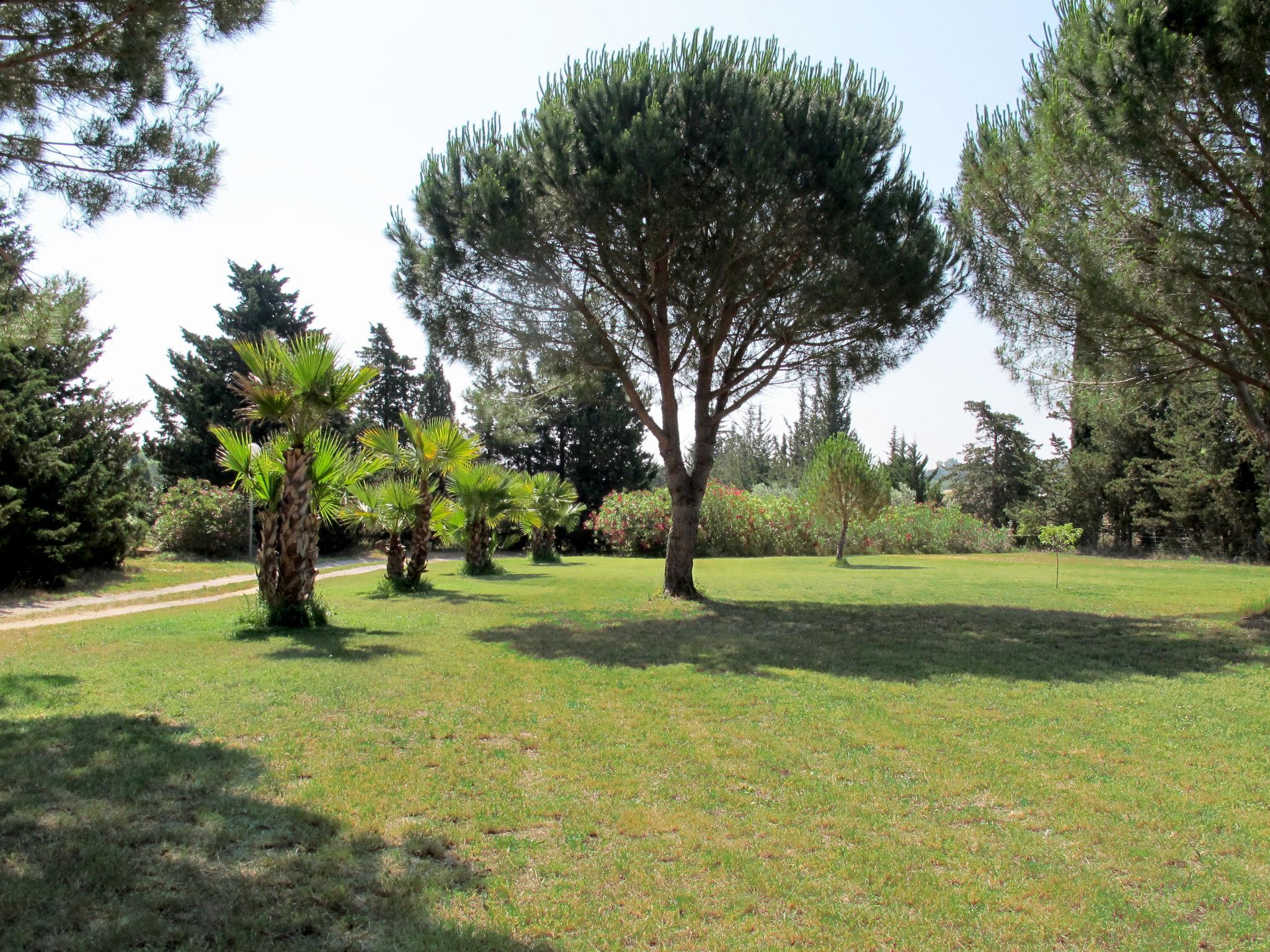 Photo 14 - Appartement de 1 chambre à Roquebrune-sur-Argens avec piscine et jardin