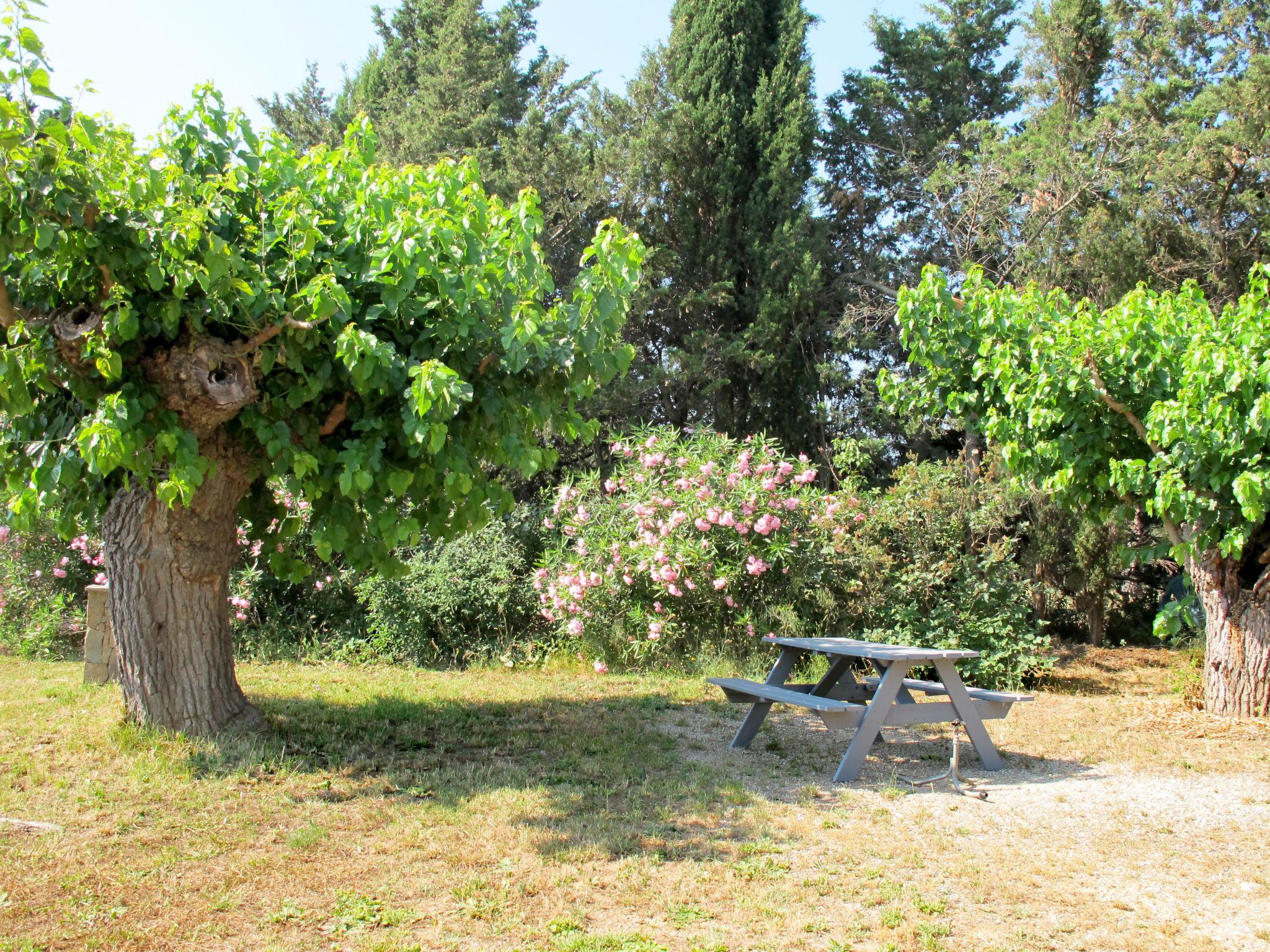 Photo 16 - 1 bedroom Apartment in Roquebrune-sur-Argens with swimming pool and garden