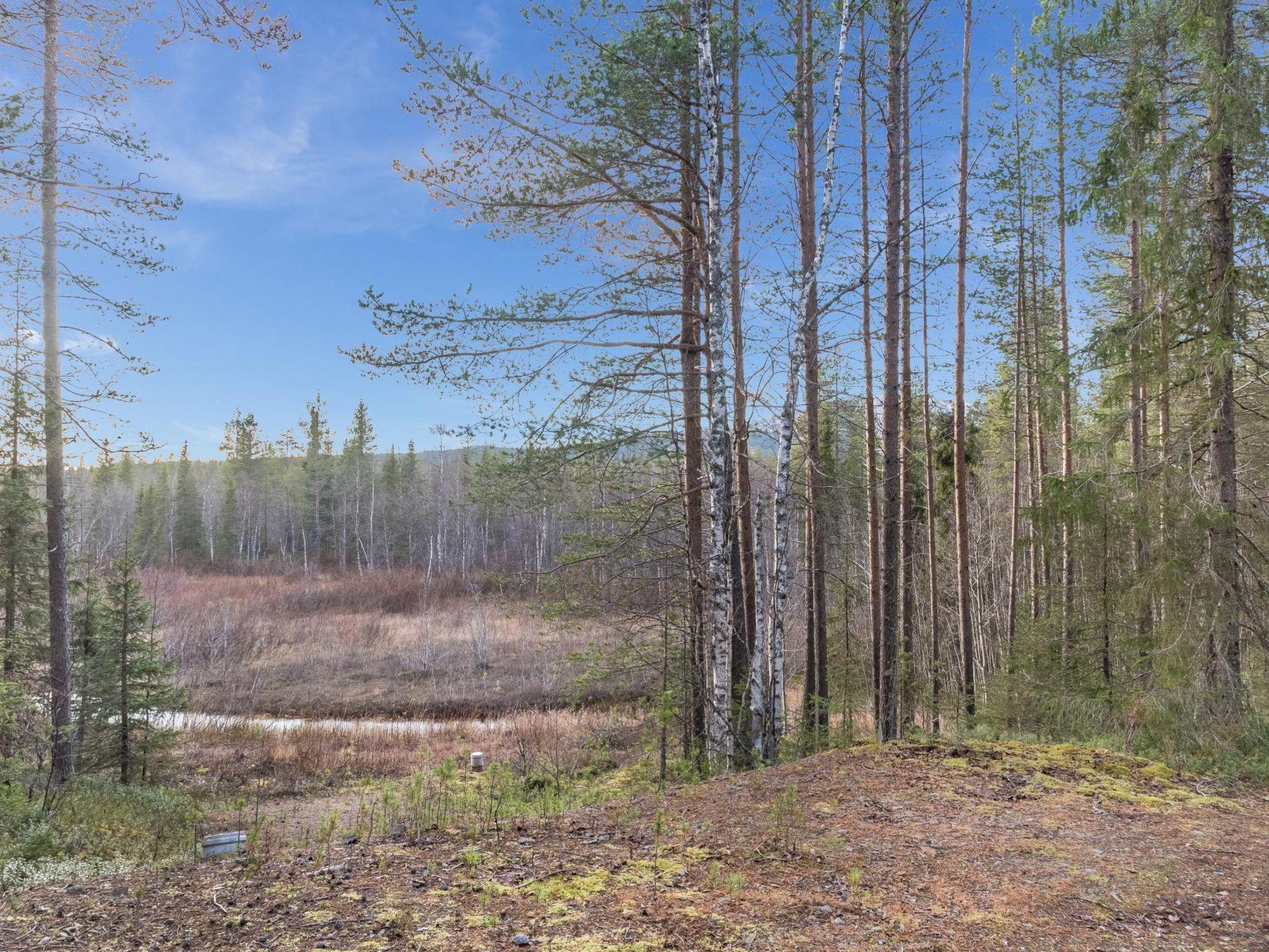 Photo 27 - 1 bedroom House in Kolari with sauna and mountain view