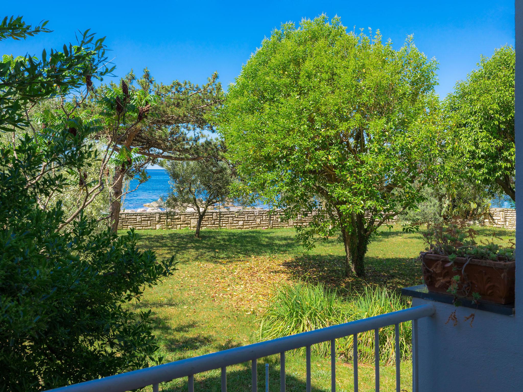 Photo 6 - 2 bedroom House in Umag with garden and sea view