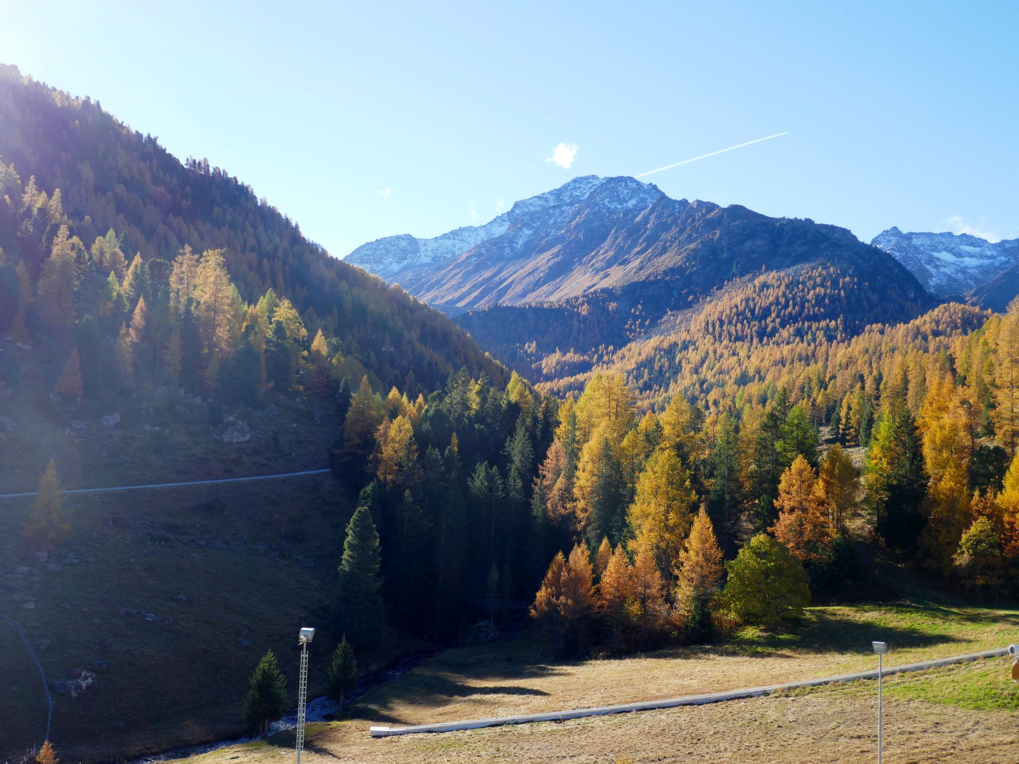 Foto 22 - Apartamento en Nendaz con vistas a la montaña