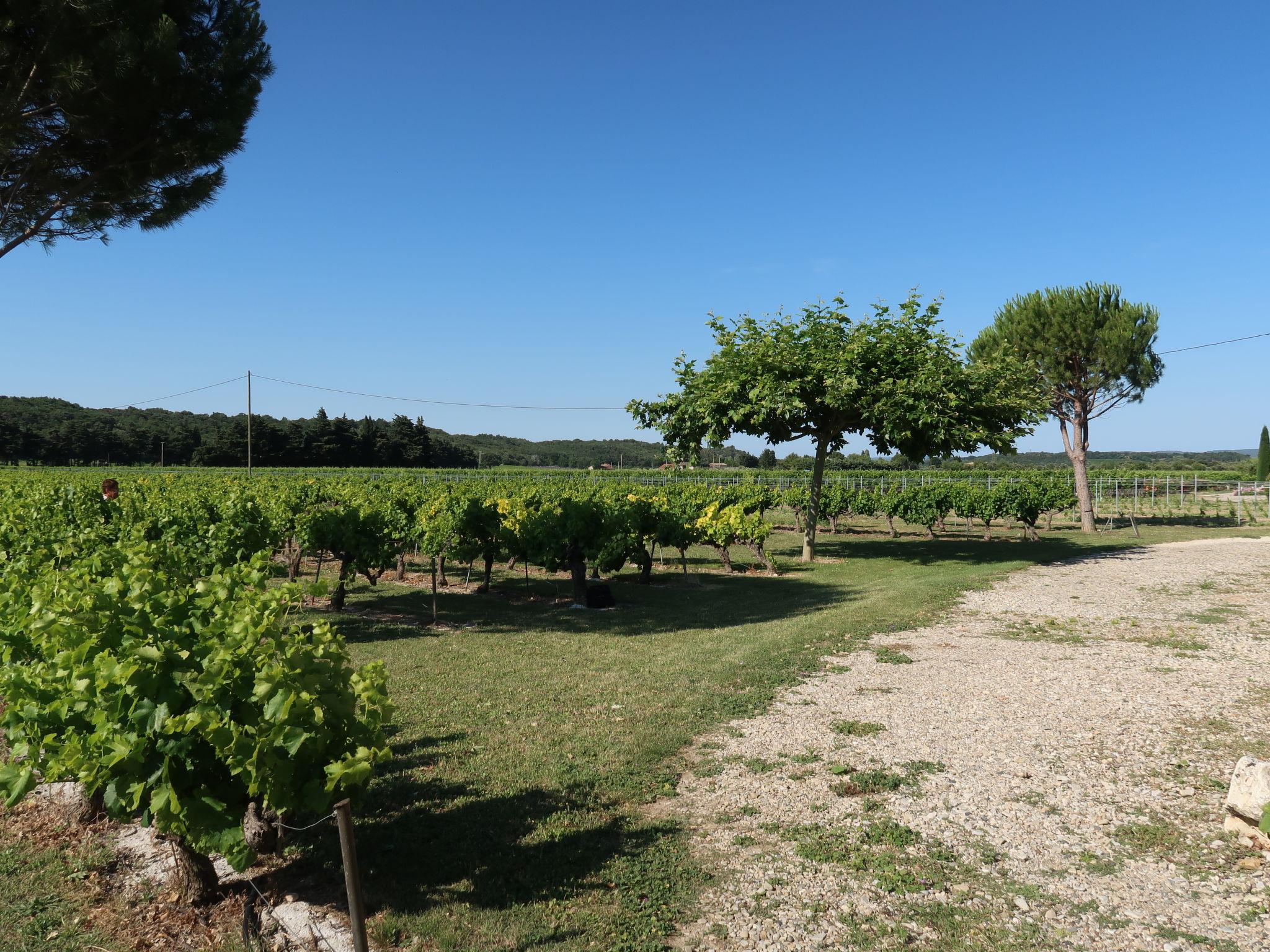 Photo 5 - Maison de 2 chambres à Grillon avec jardin et terrasse