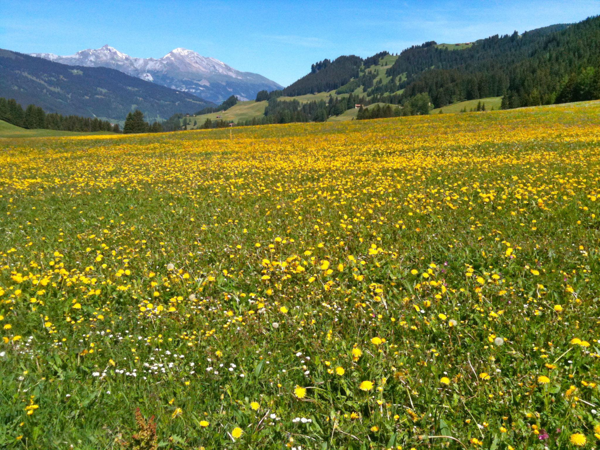 Foto 5 - Appartamento con 1 camera da letto a Vaz/Obervaz con vista sulle montagne