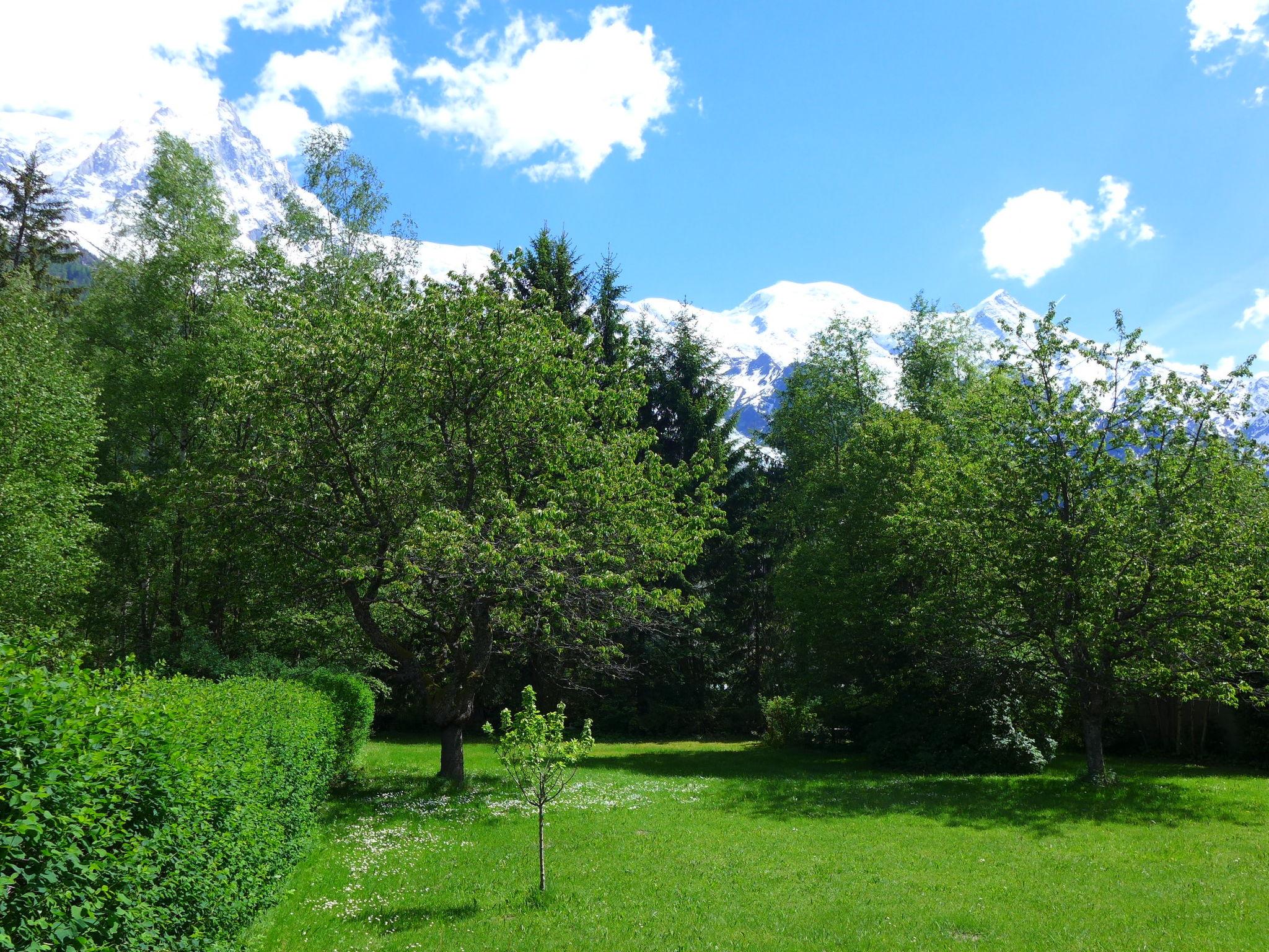 Foto 17 - Apartamento de 2 quartos em Chamonix-Mont-Blanc com vista para a montanha