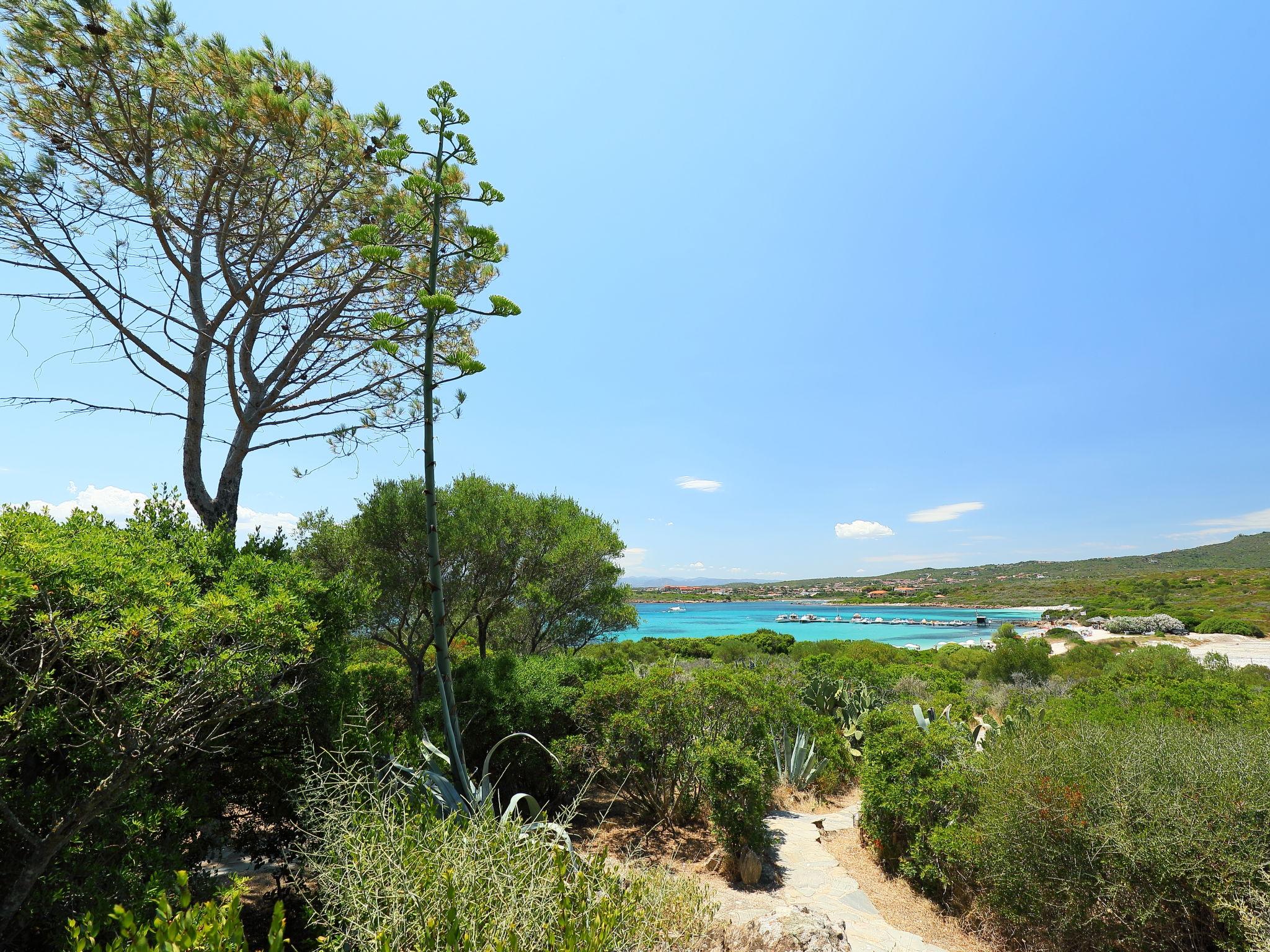 Photo 21 - Appartement de 1 chambre à Golfo Aranci avec jardin et vues à la mer