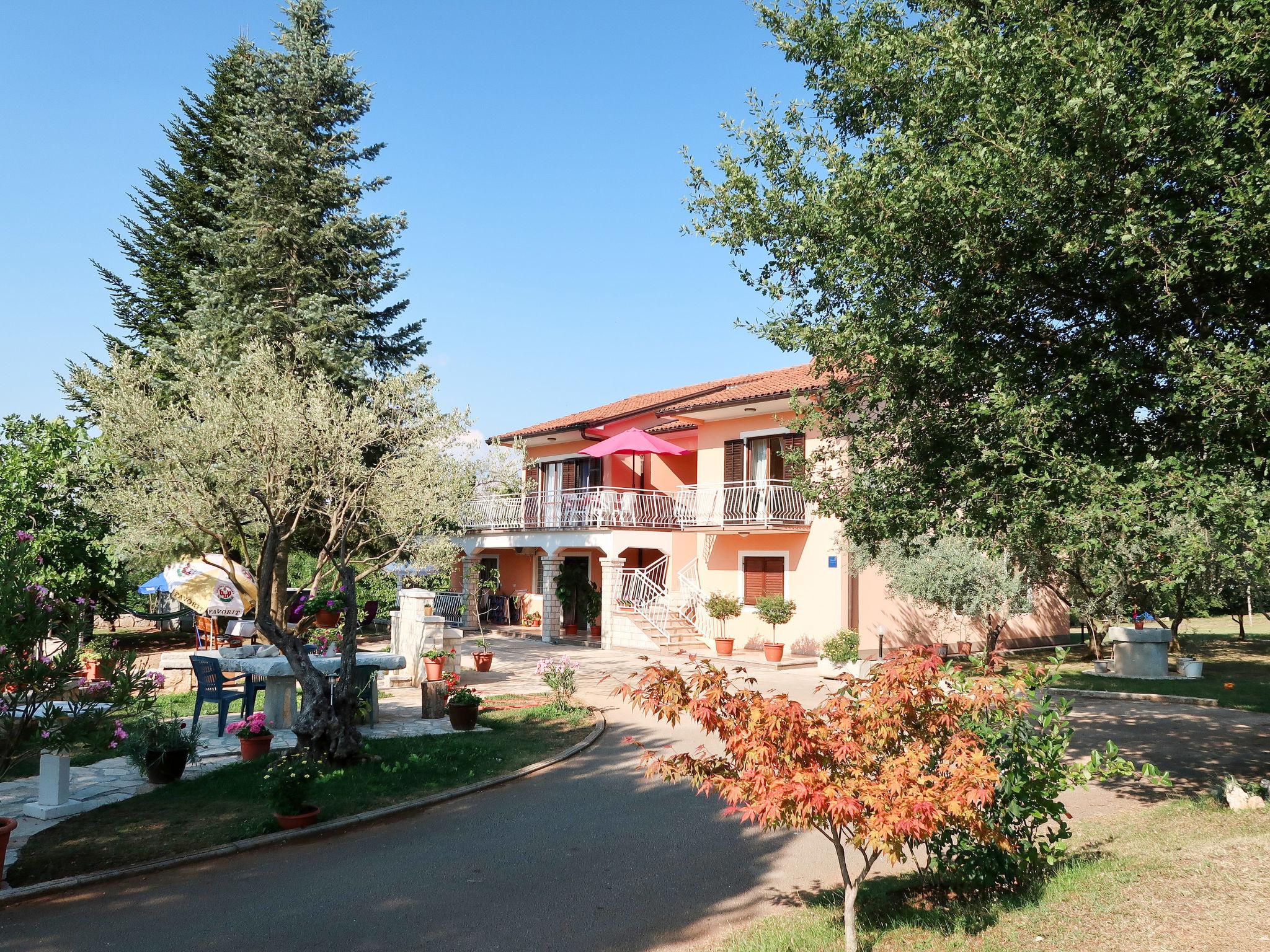 Photo 25 - Appartement de 3 chambres à Sveta Nedelja avec piscine et jardin