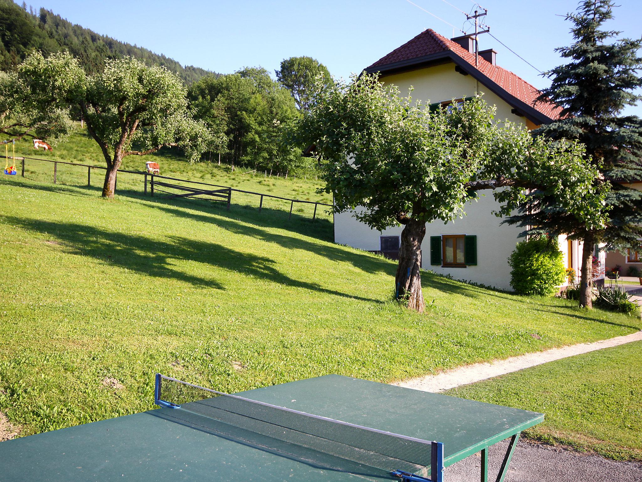 Foto 20 - Casa de 6 quartos em Ossiach com jardim e terraço