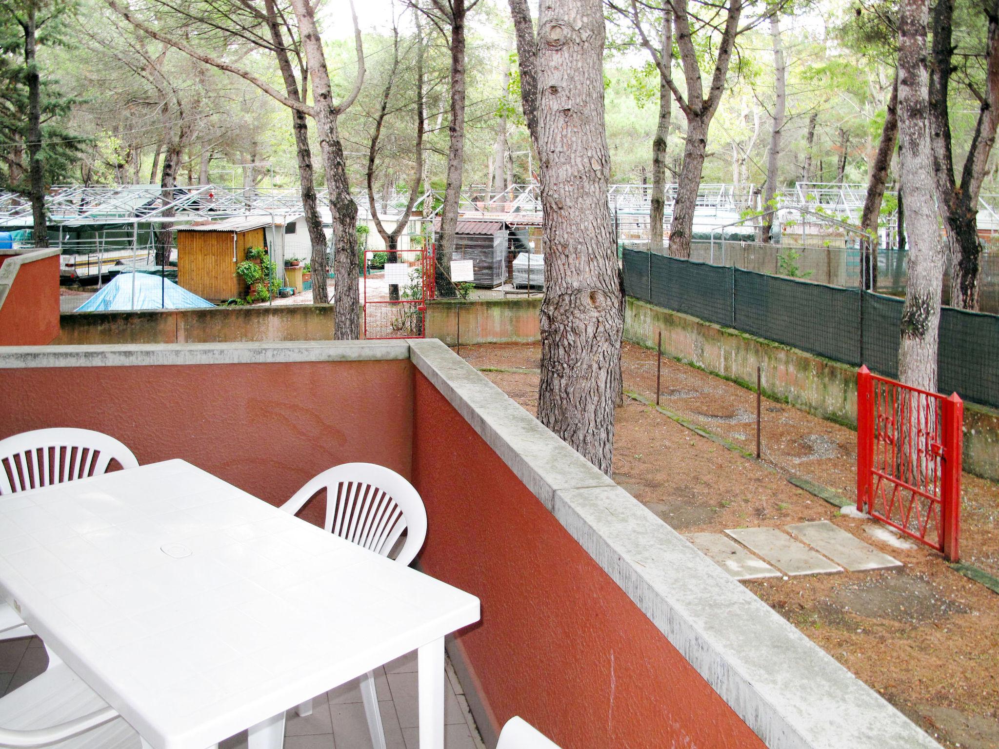 Foto 5 - Apartamento de 1 habitación en Bibbona con piscina y jardín