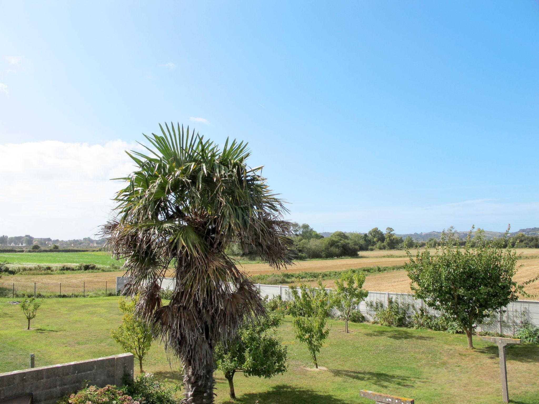 Photo 20 - Maison de 2 chambres à Barneville-Carteret avec jardin et terrasse