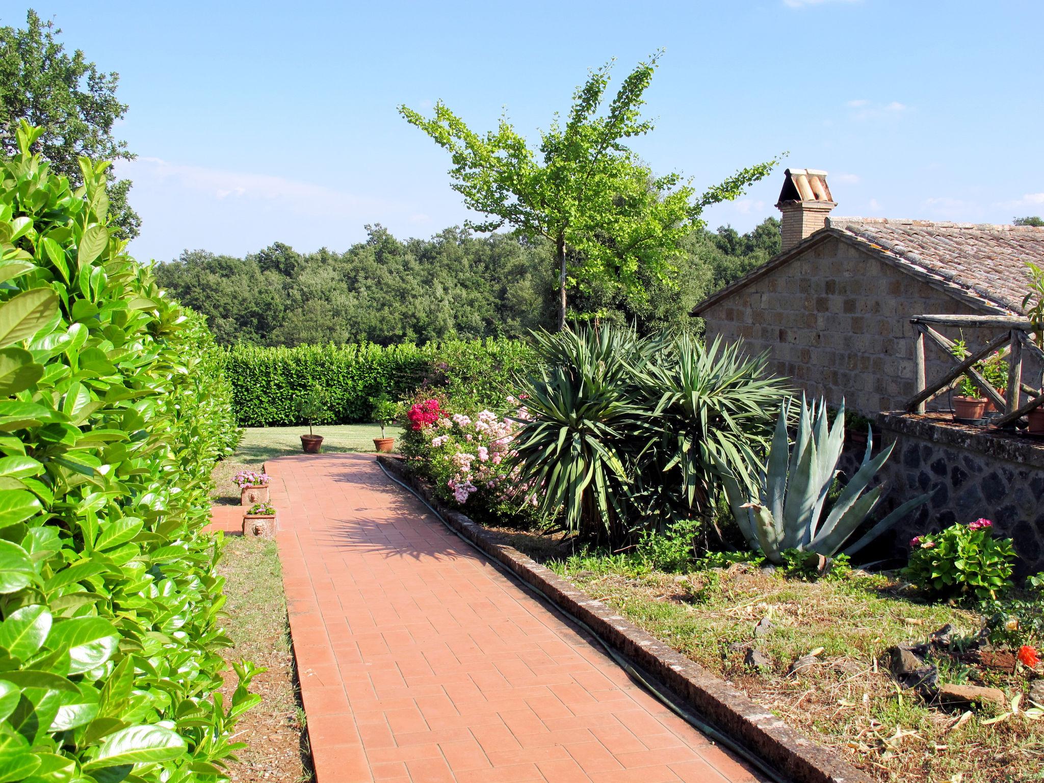 Photo 16 - 1 bedroom House in Orvieto with swimming pool and garden