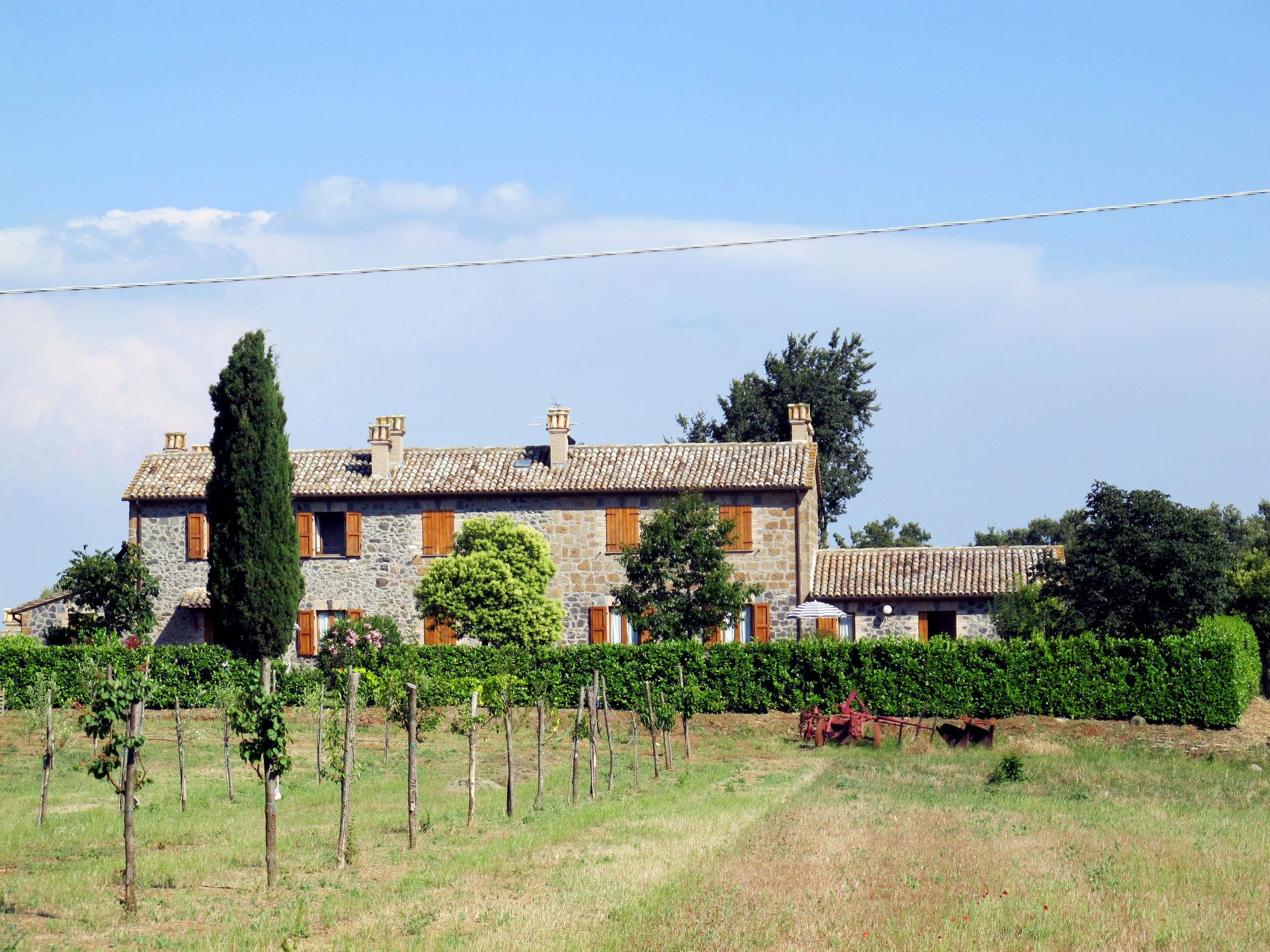 Photo 15 - 1 bedroom House in Orvieto with swimming pool and garden