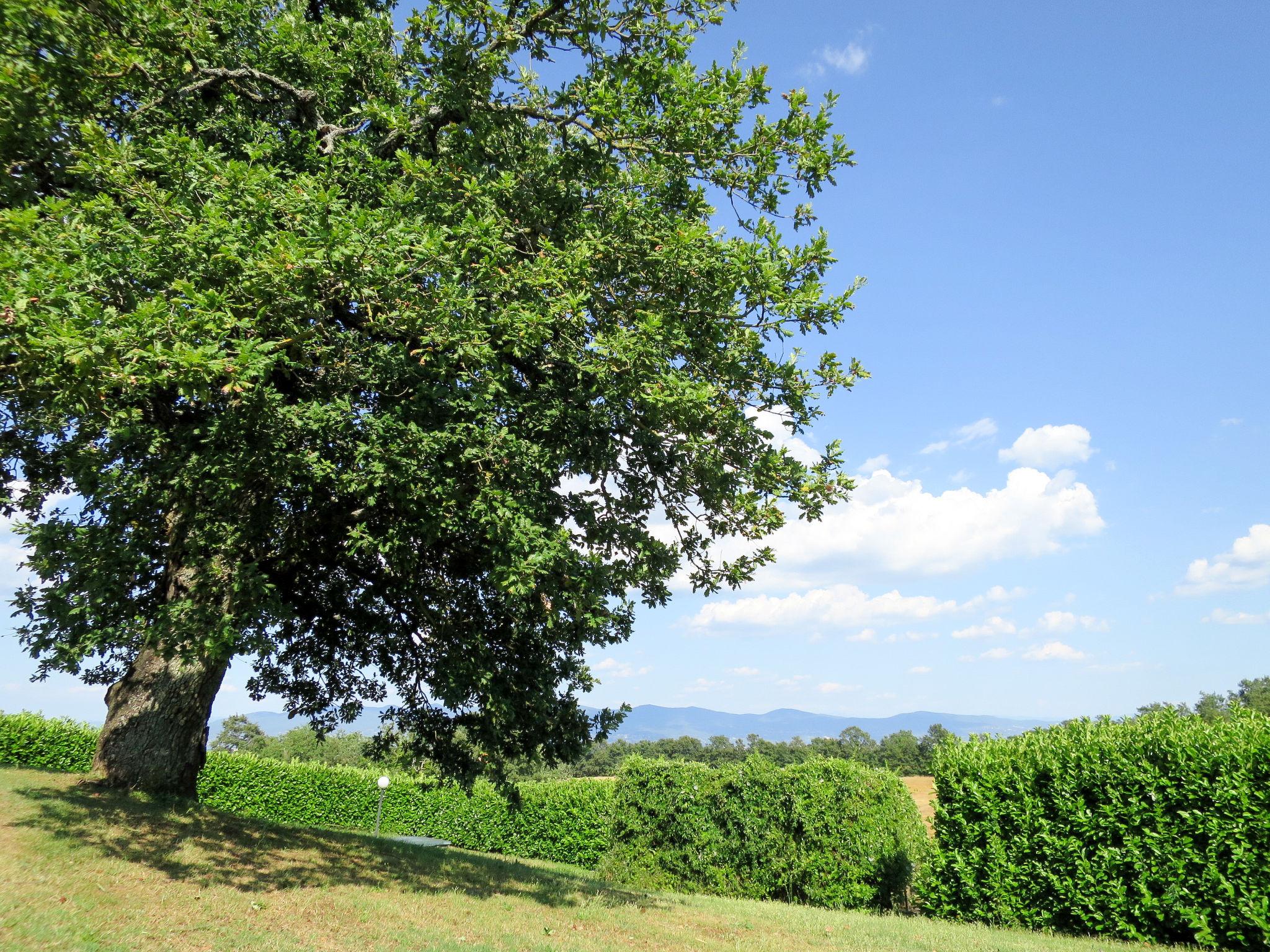 Photo 23 - 1 bedroom House in Orvieto with swimming pool and garden