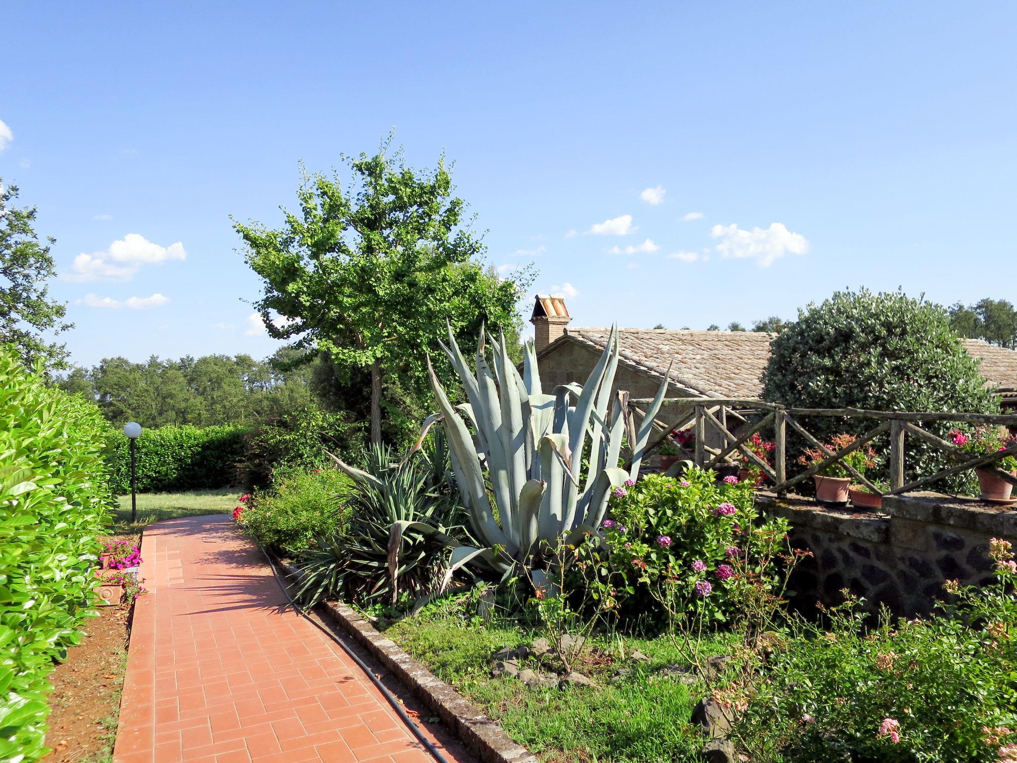 Photo 18 - 1 bedroom House in Orvieto with swimming pool and garden